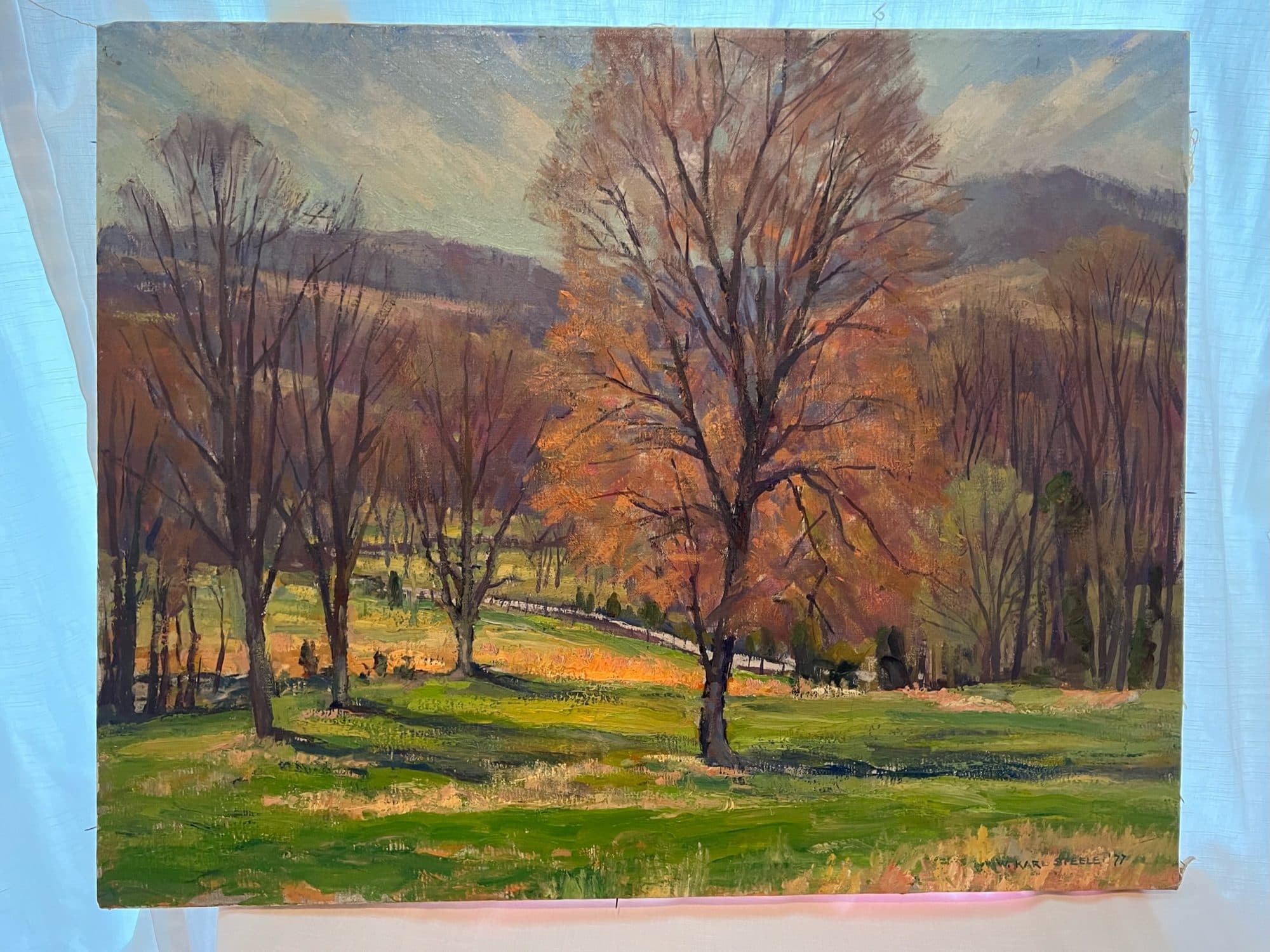 Autumn Tree In Golden Light — detail
