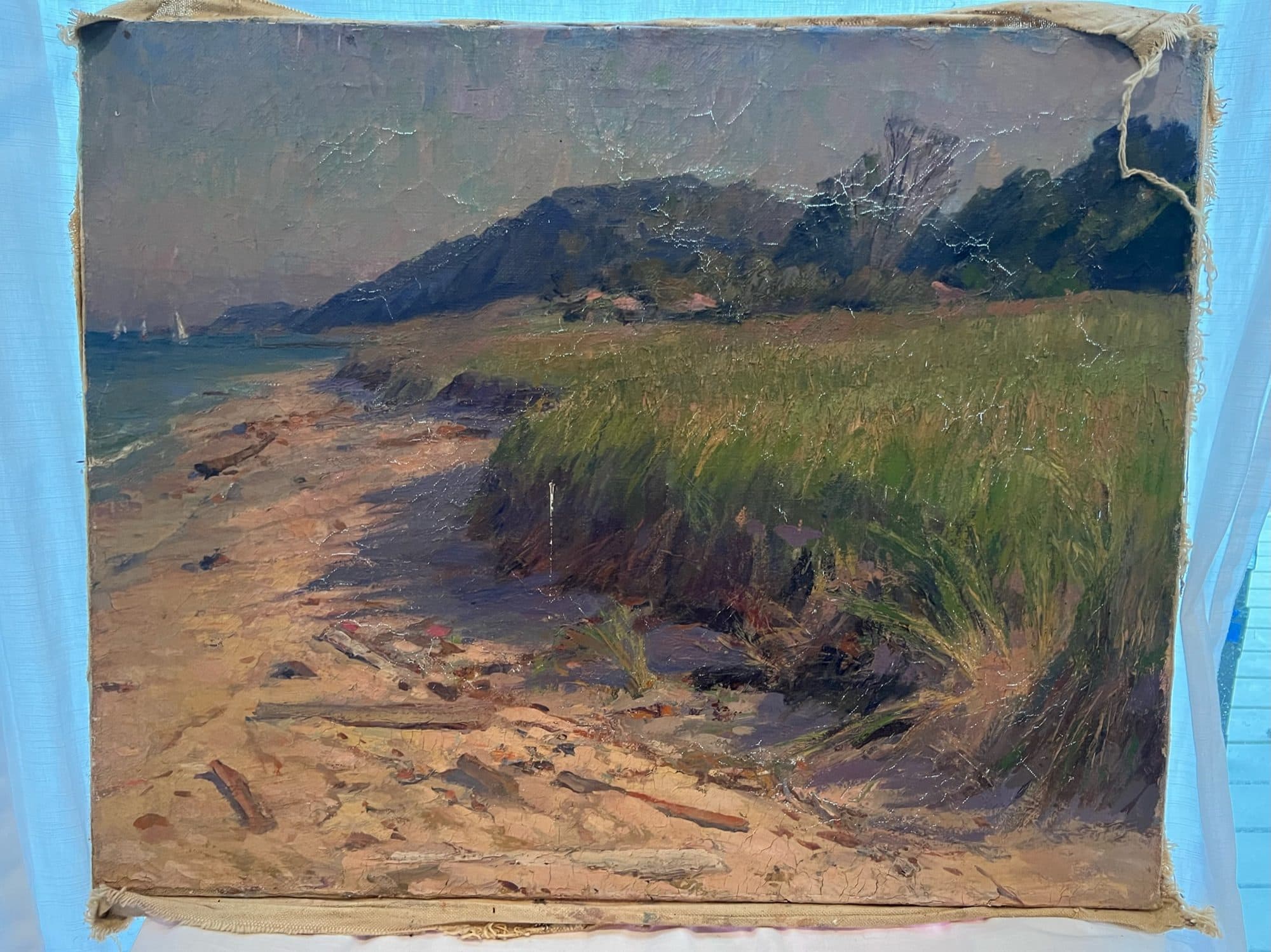Sand Dune Along The Shore — detail