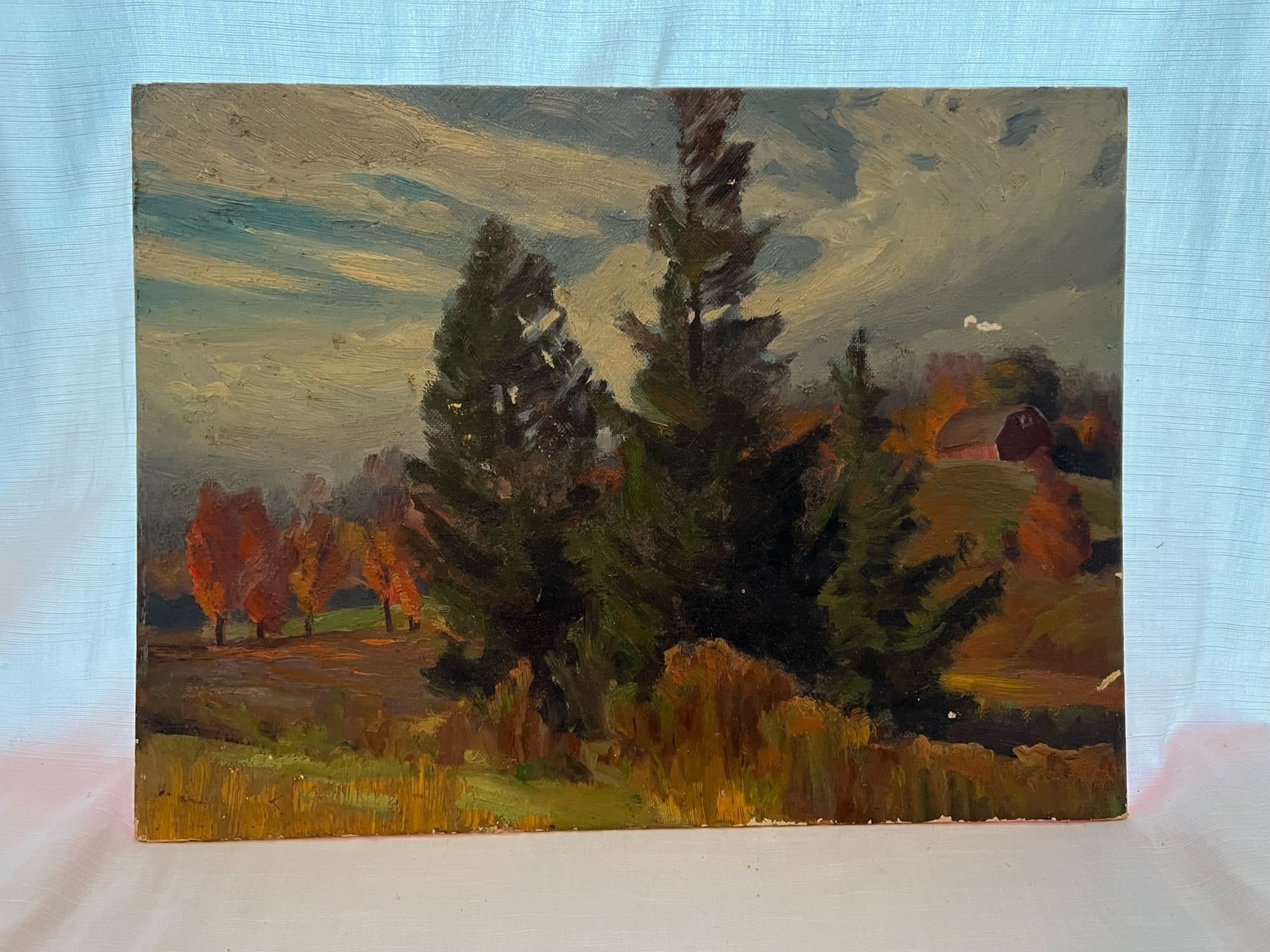 Evergreens With Autumn Backdrop — detail