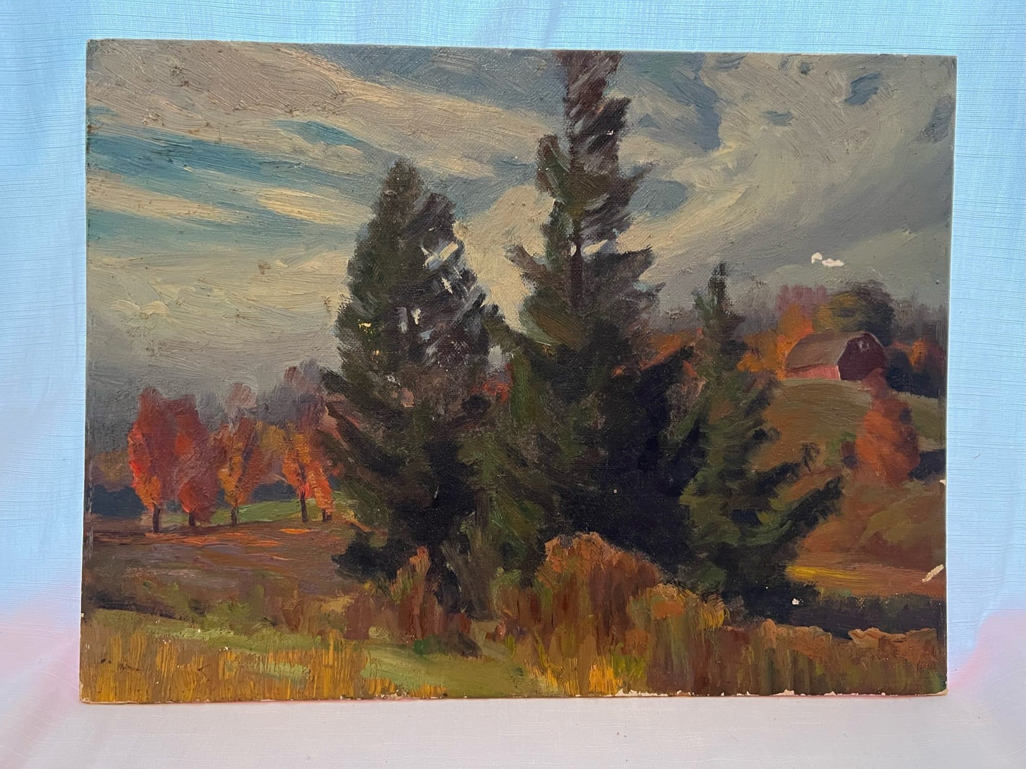 Evergreens With Autumn Backdrop — detail