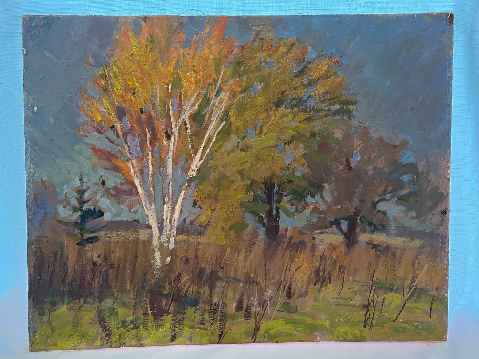 White Birch And Golden Maple — detail