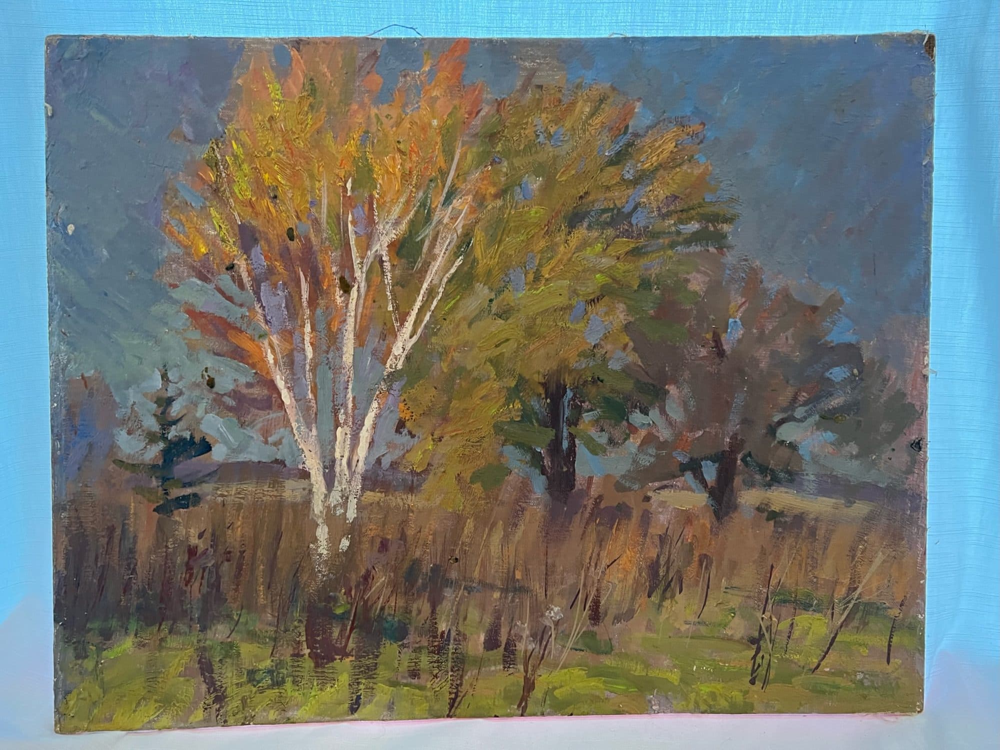 White Birch And Golden Maple — detail