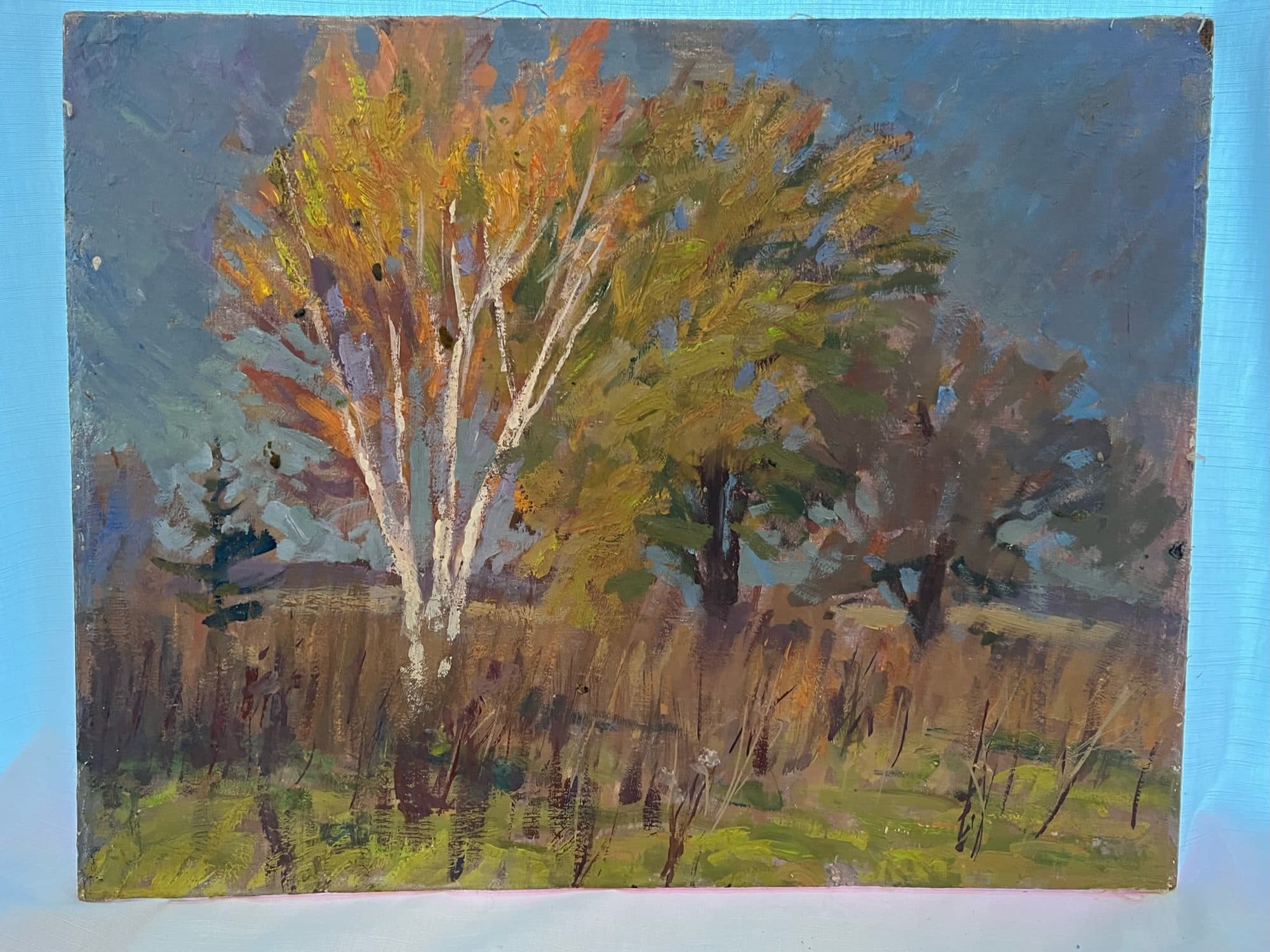 White Birch And Golden Maple — detail