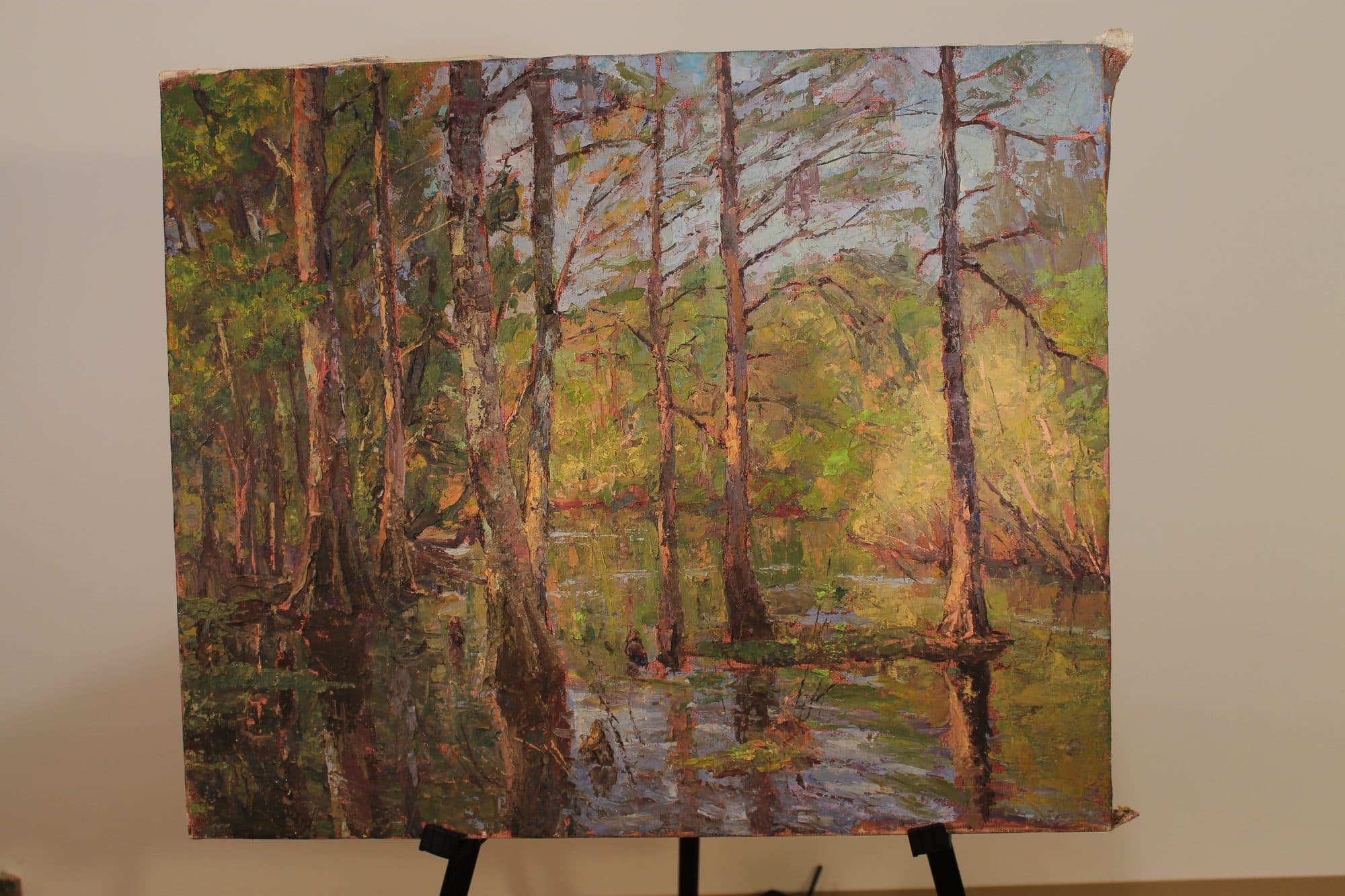 Cypress Trees In Spring Swamp — detail