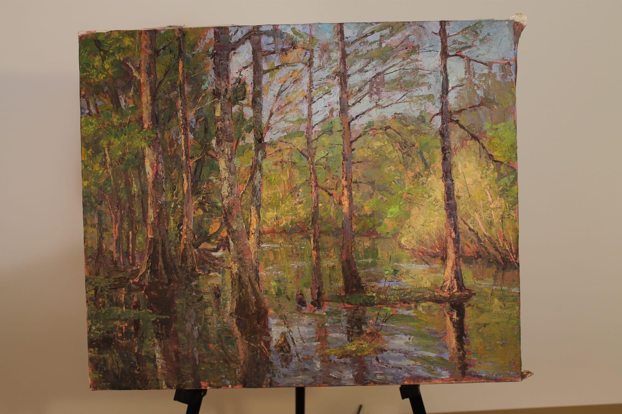 Cypress Trees In Spring Swamp — detail