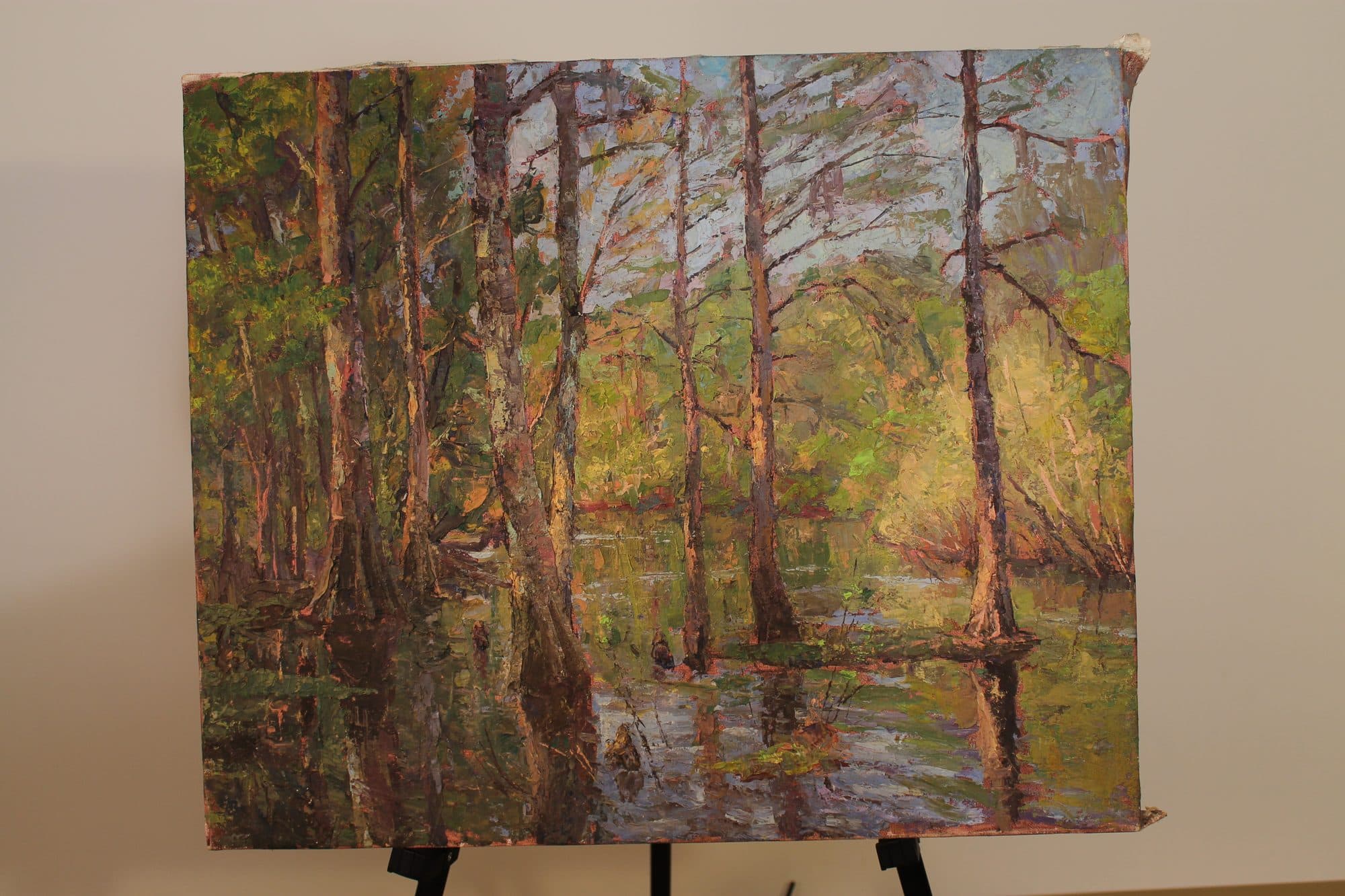 Cypress Trees In Spring Swamp — detail