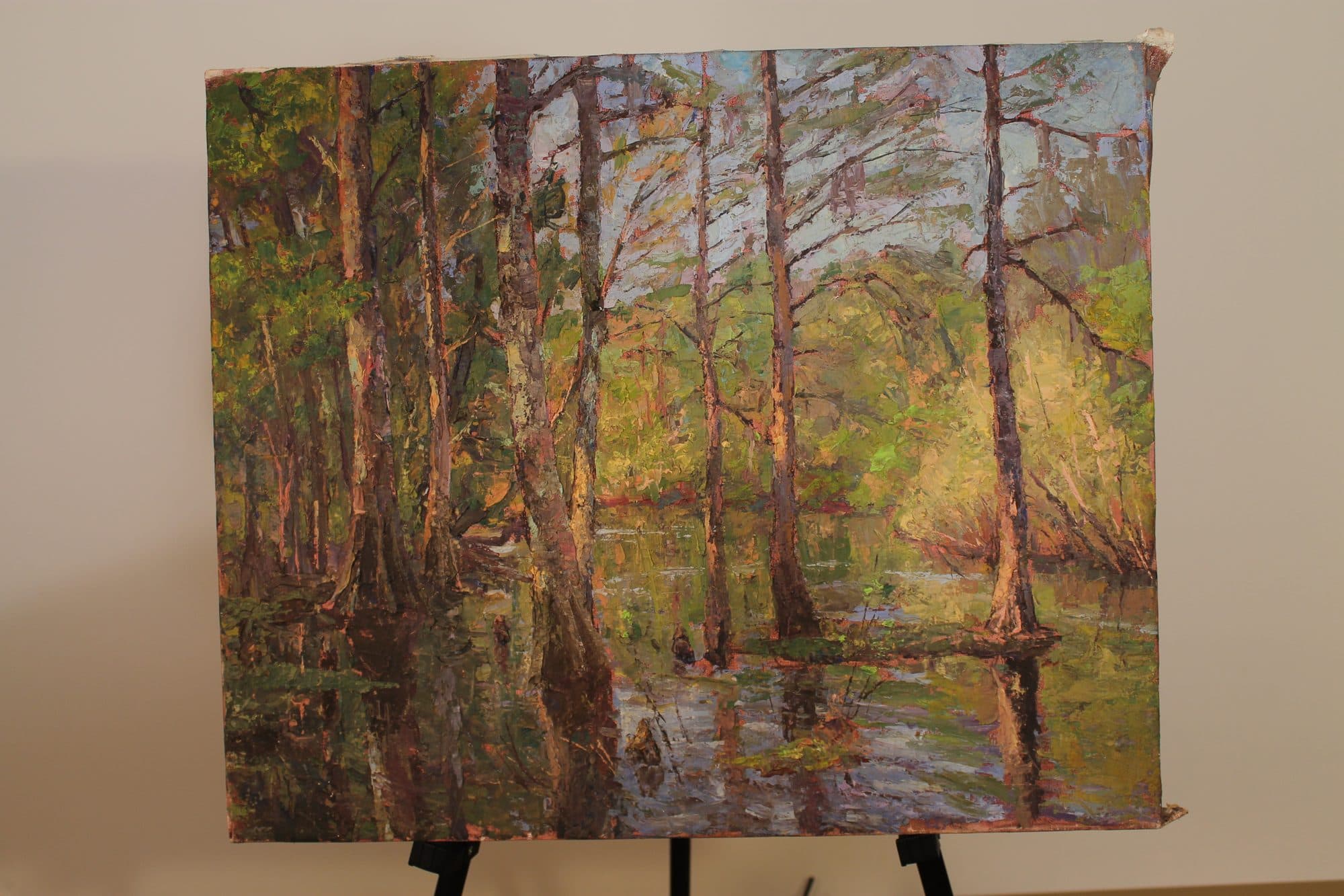 Cypress Trees In Spring Swamp — detail