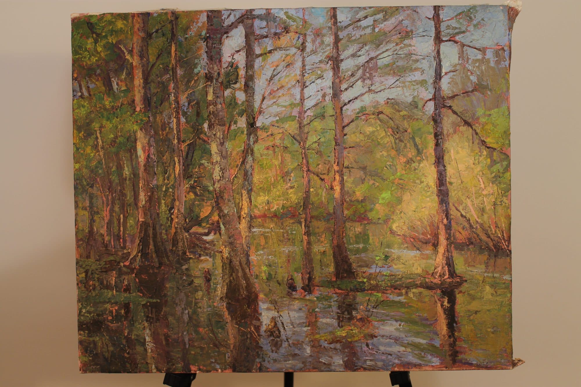 Cypress Trees In Spring Swamp — detail