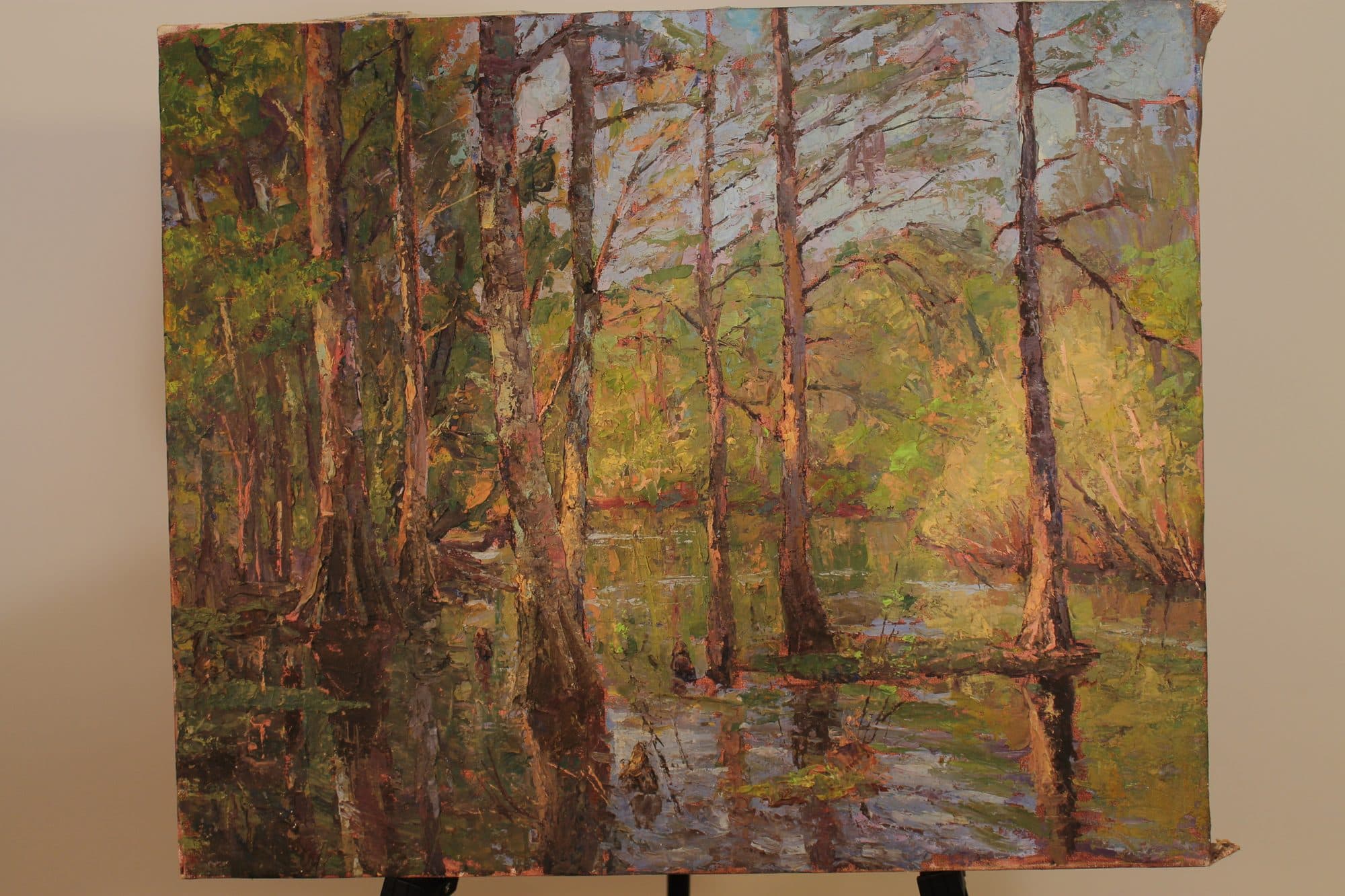 Cypress Trees In Spring Swamp — detail
