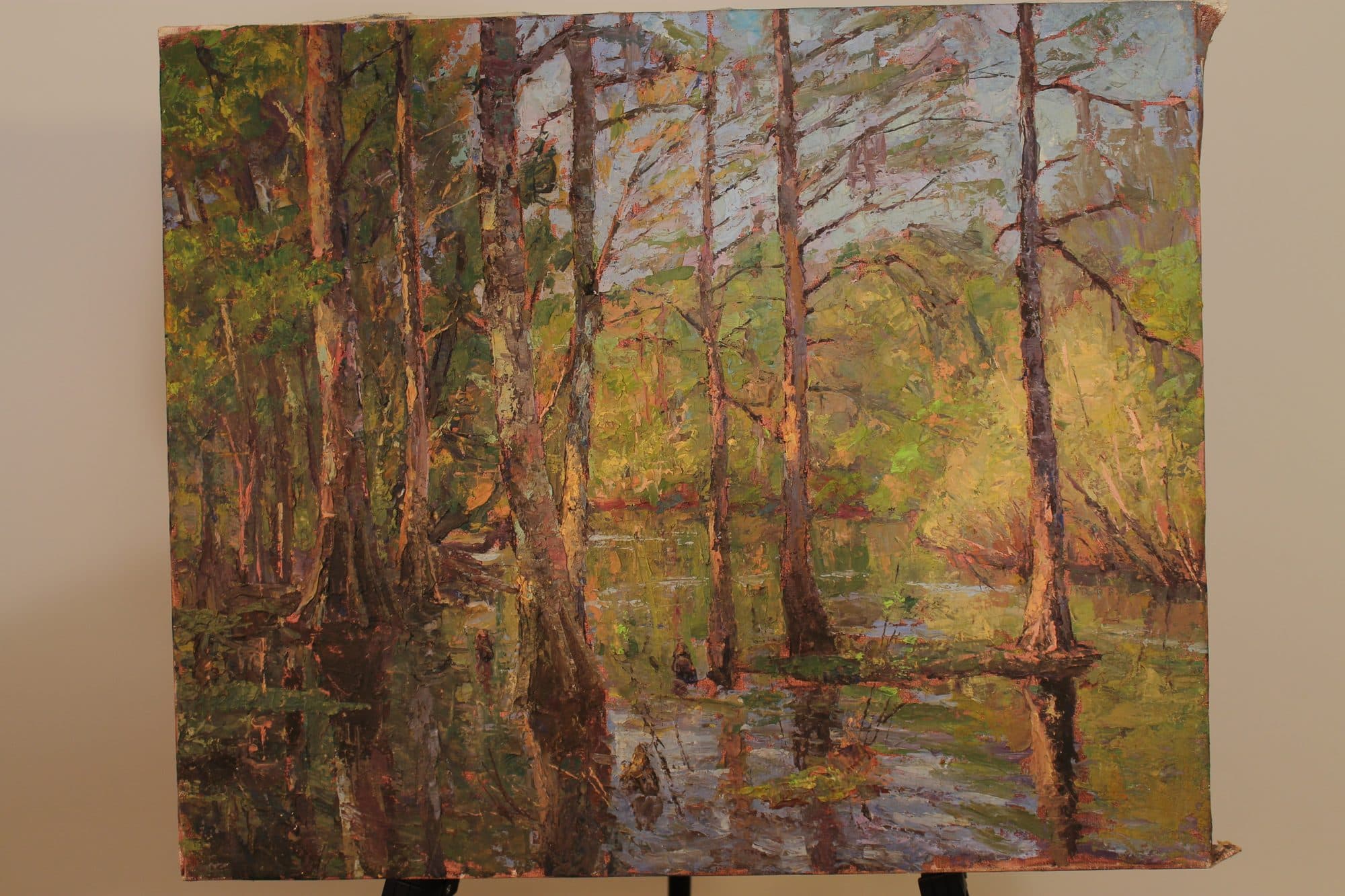 Cypress Trees In Spring Swamp — detail