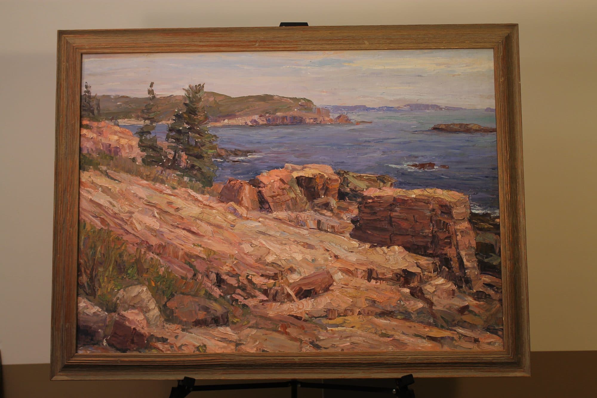Rocky Coast By The Sea — detail