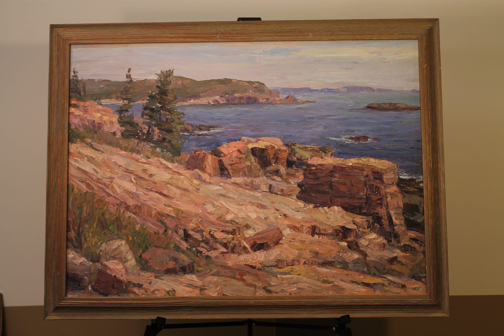Rocky Coast By The Sea — detail