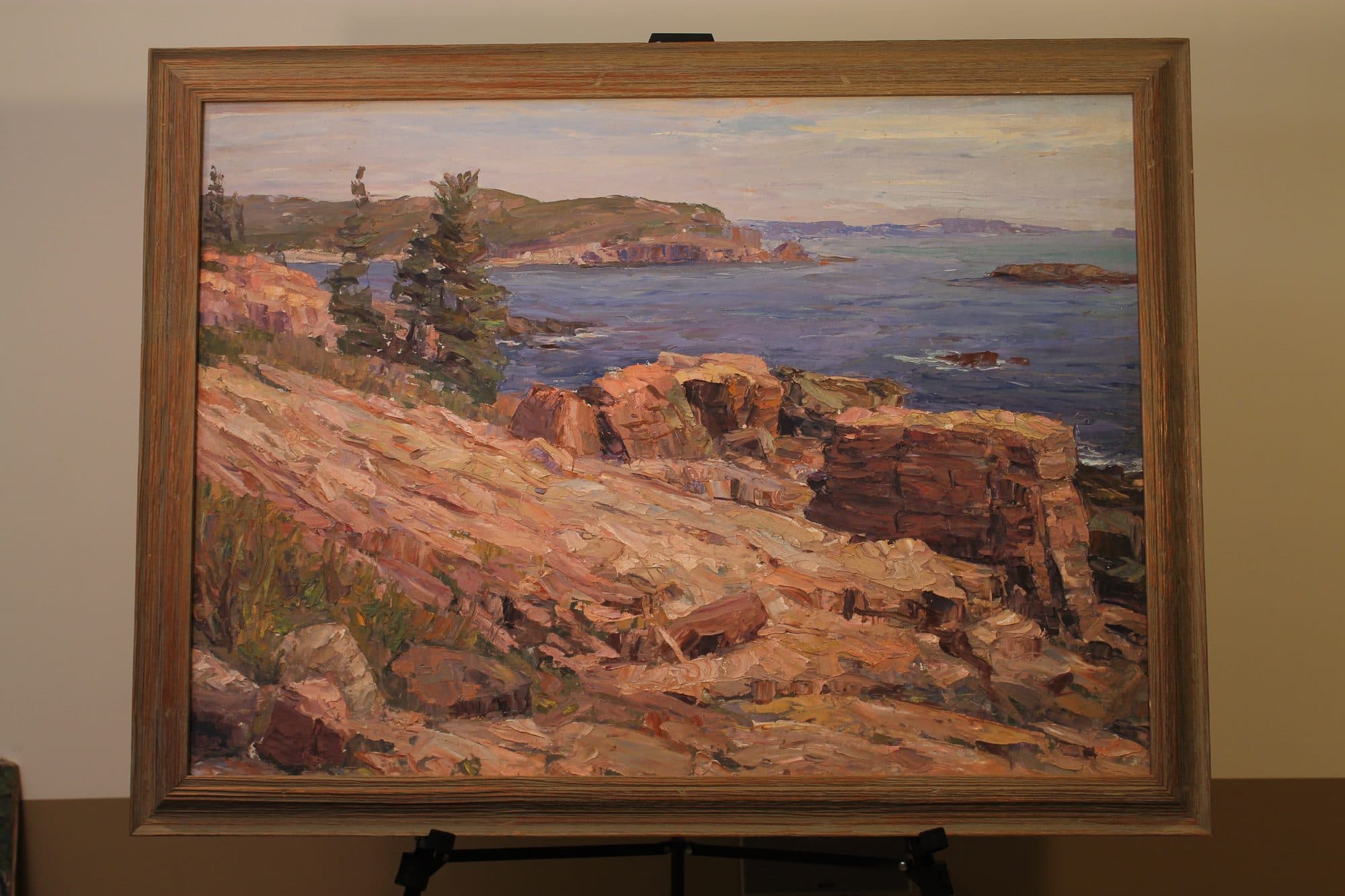 Rocky Coast By The Sea — detail