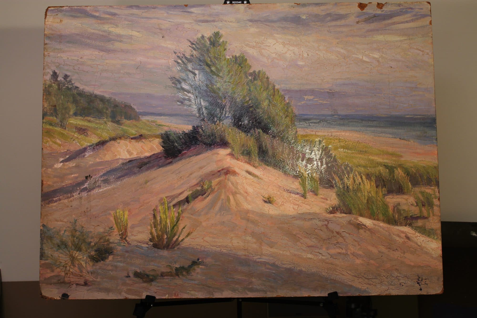 Windswept Tree On Coastal Dune — detail