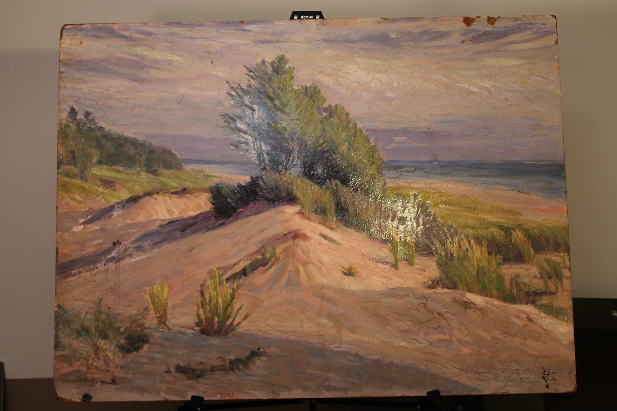 Windswept Tree On Coastal Dune — detail