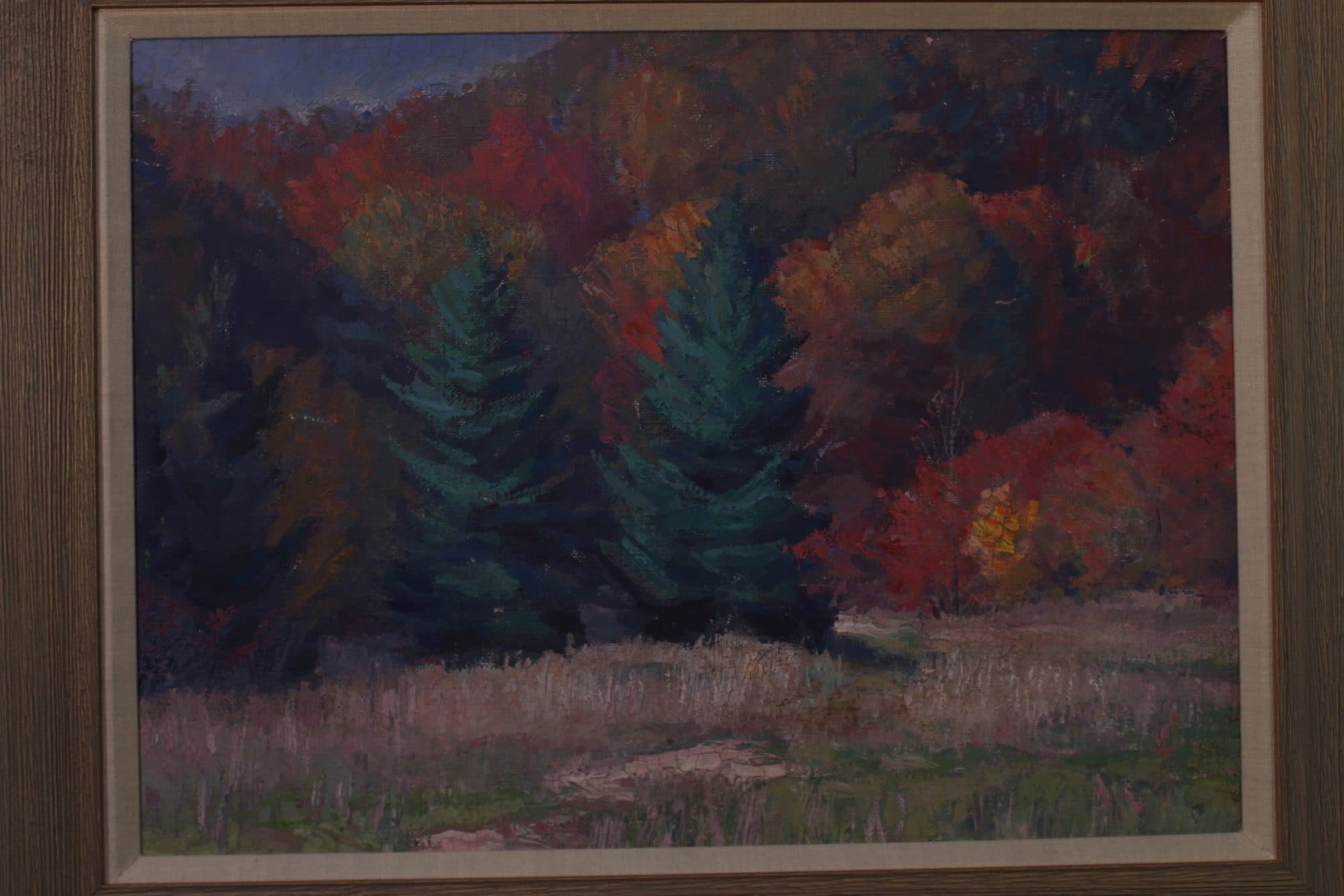 Pines Amid Autumn Foliage — detail