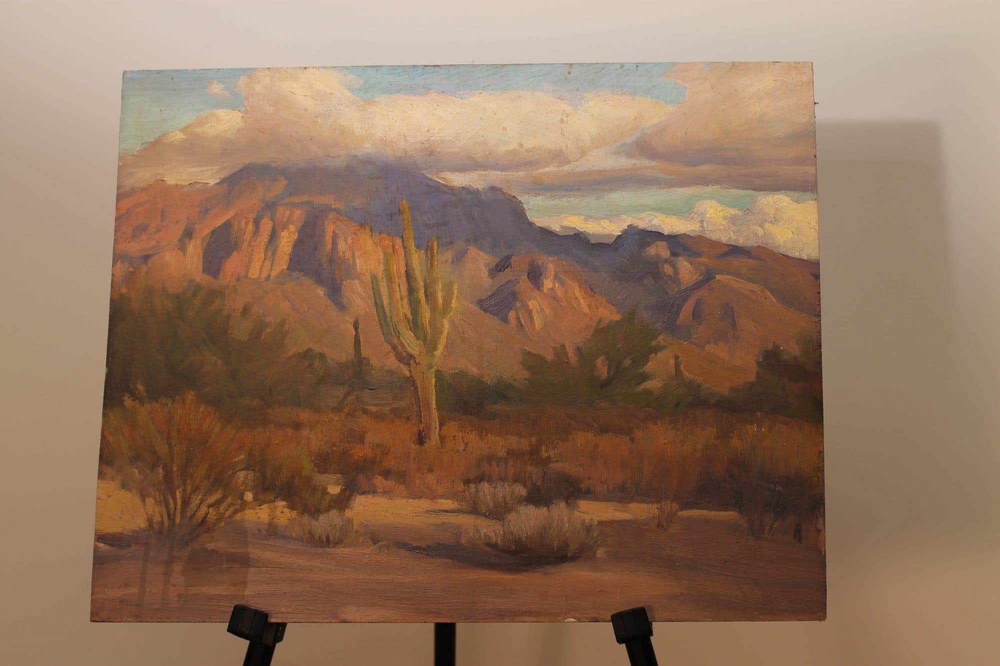 Saguaro Cactus In The Desert — detail