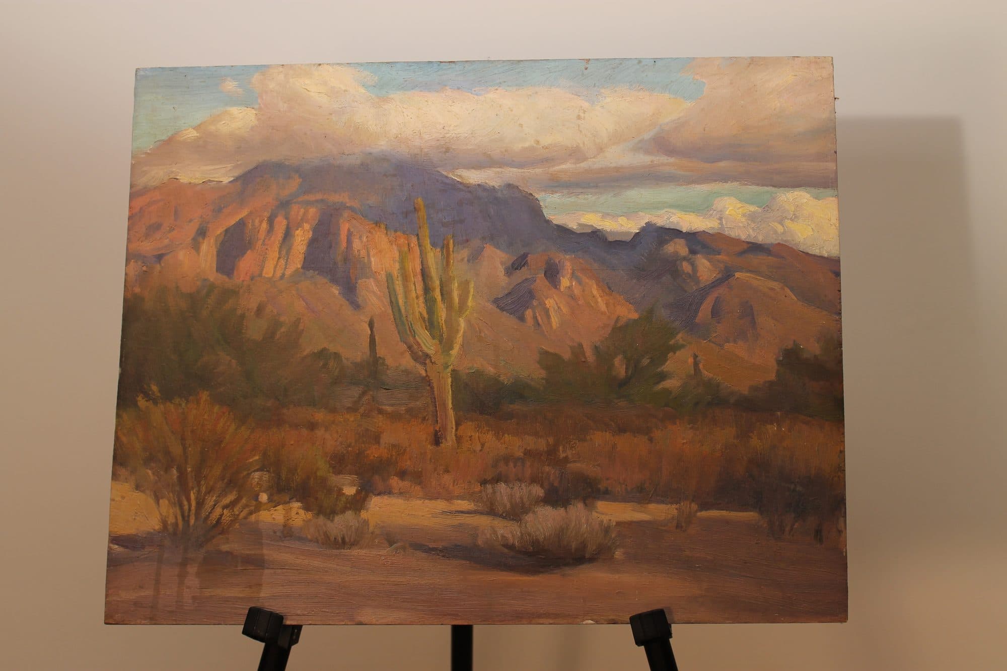 Saguaro Cactus In The Desert — detail