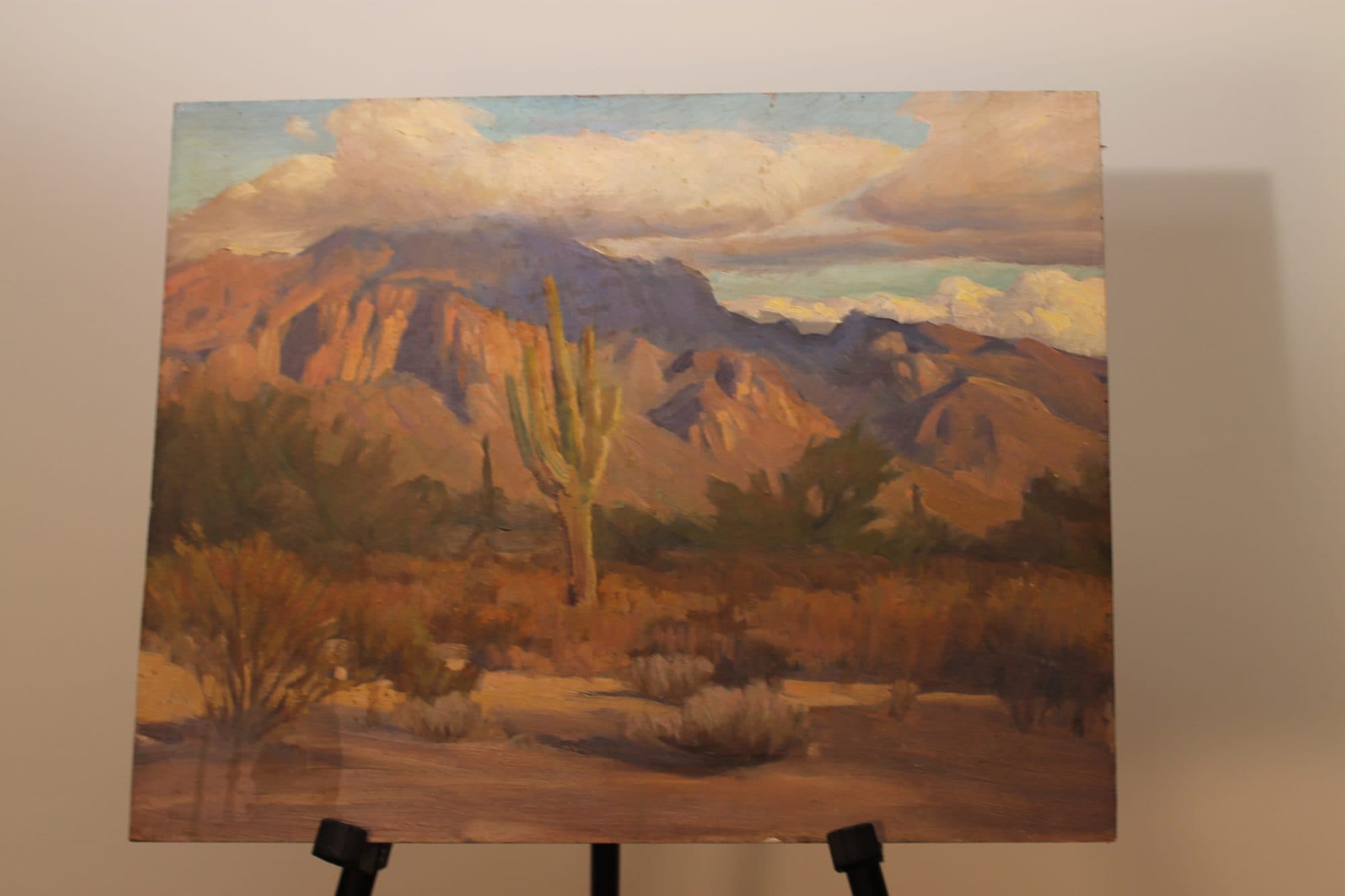 Saguaro Cactus In The Desert — detail