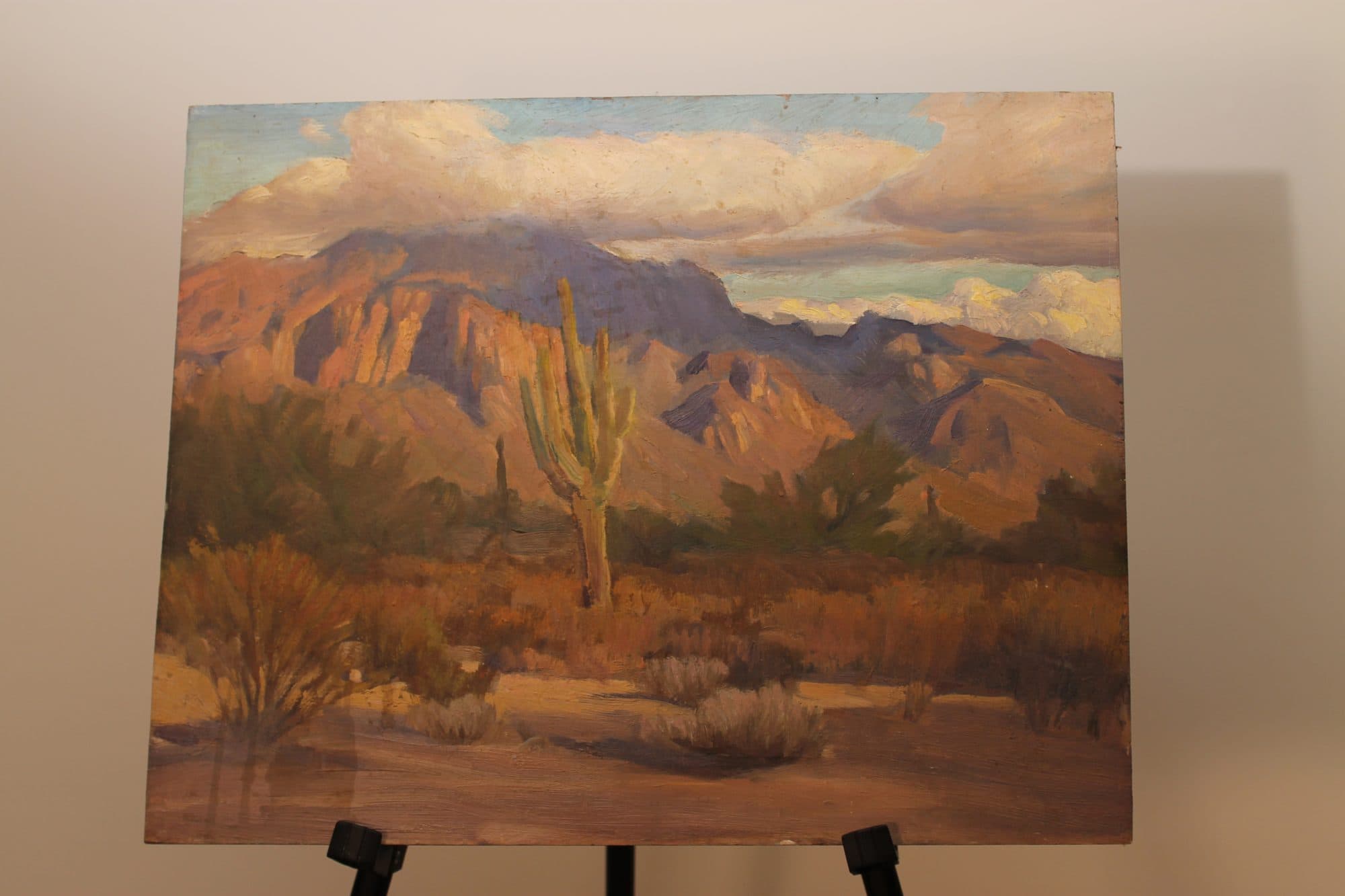 Saguaro Cactus In The Desert — detail