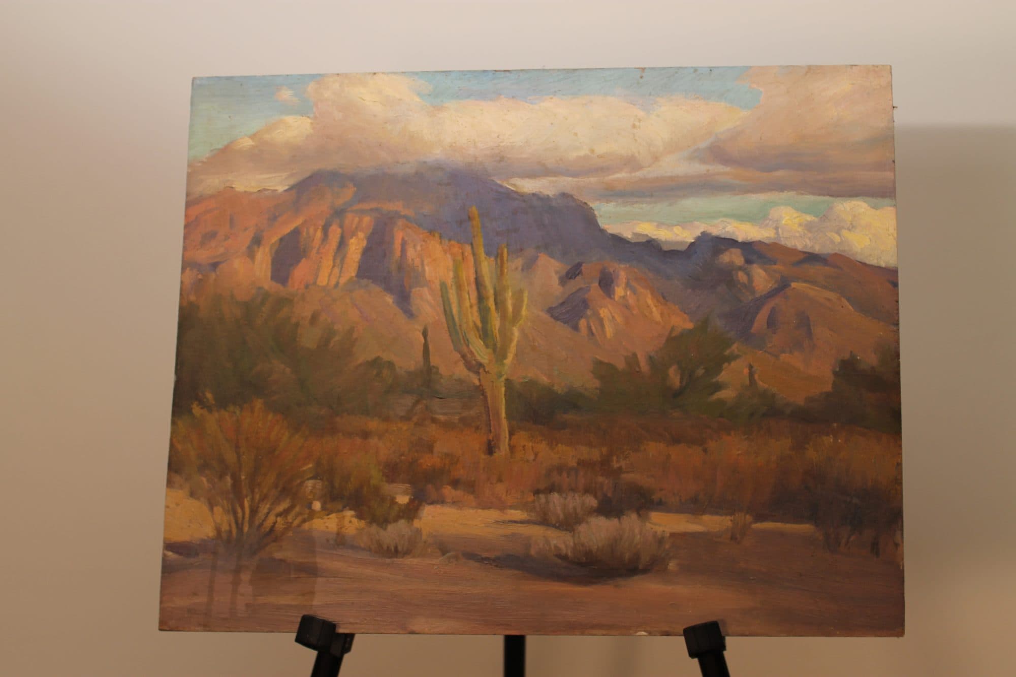 Saguaro Cactus In The Desert — detail