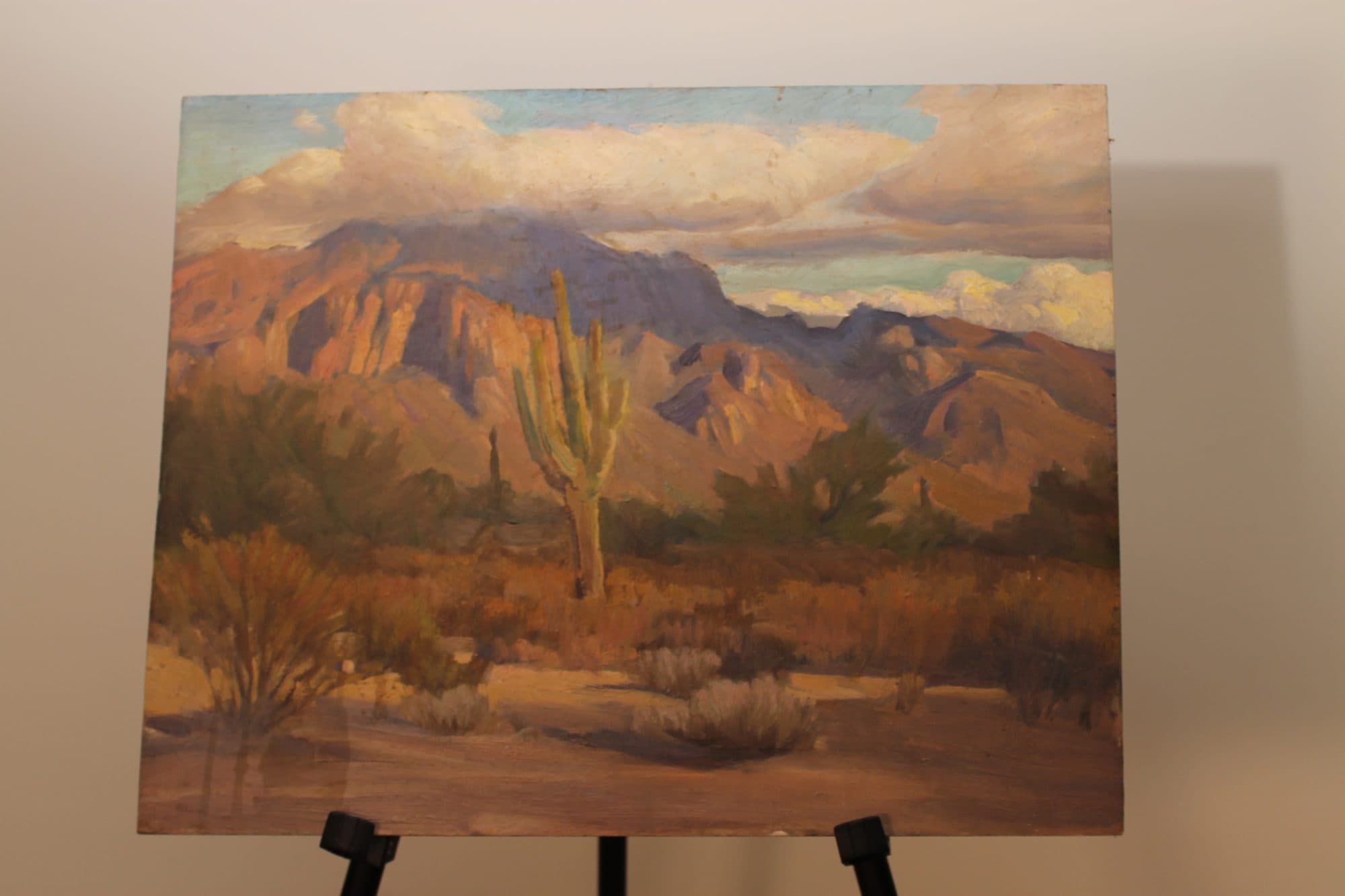 Saguaro Cactus In The Desert — detail