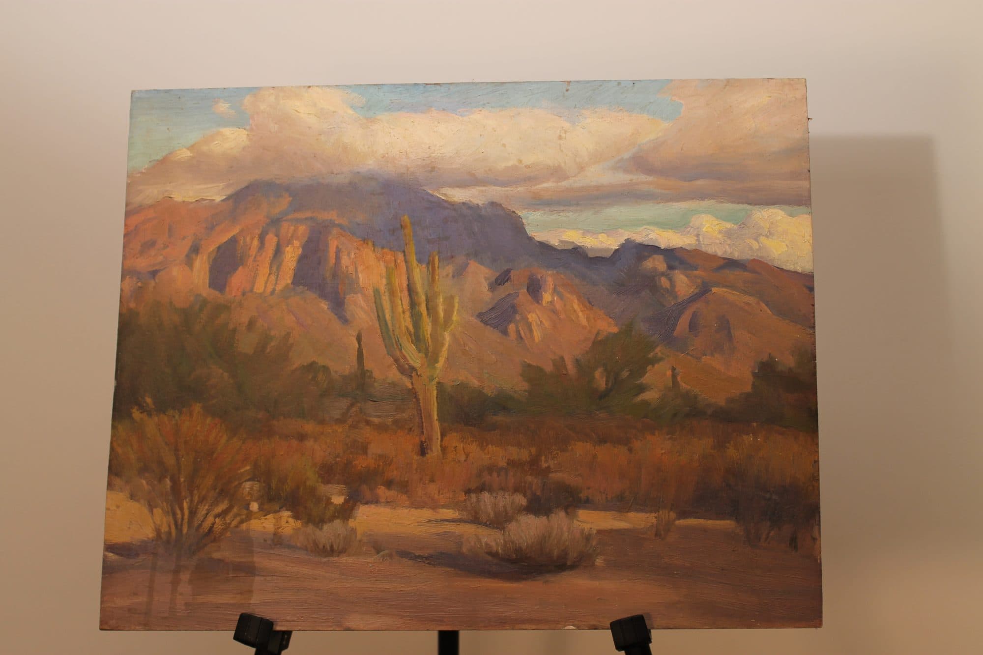 Saguaro Cactus In The Desert — detail