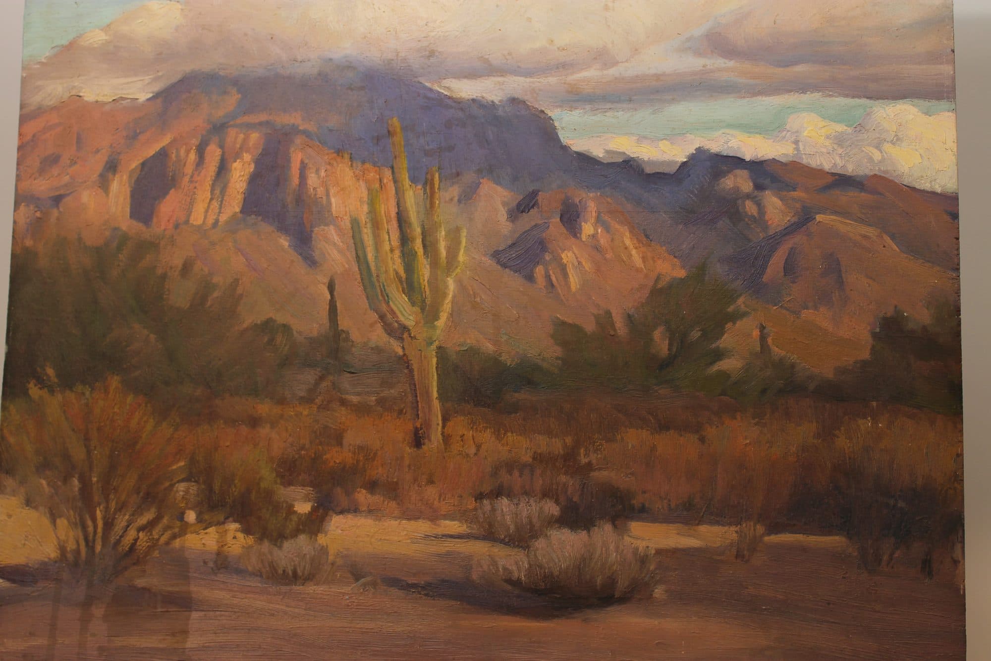 Saguaro Cactus In The Desert — detail