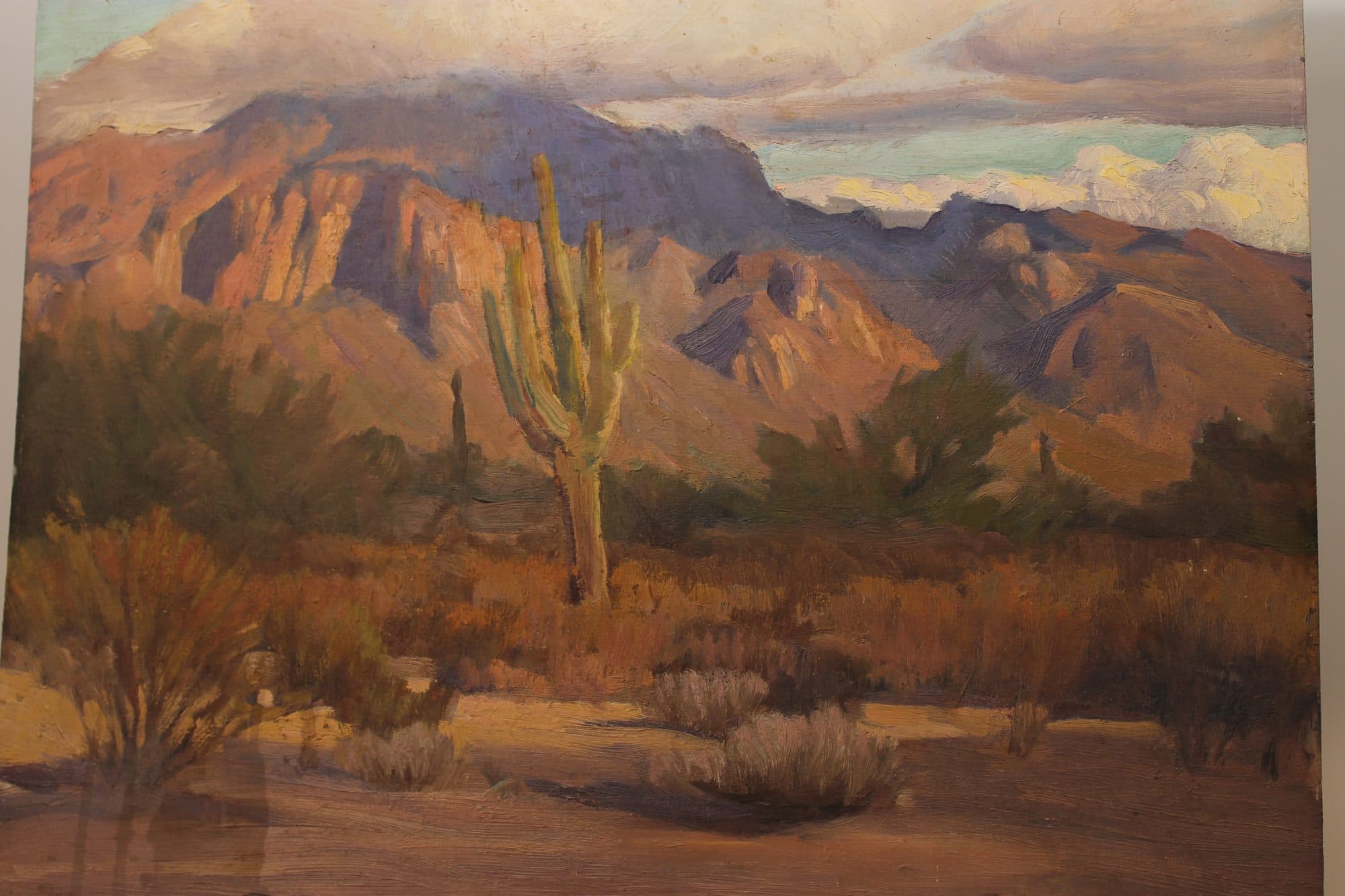 Saguaro Cactus In The Desert — detail