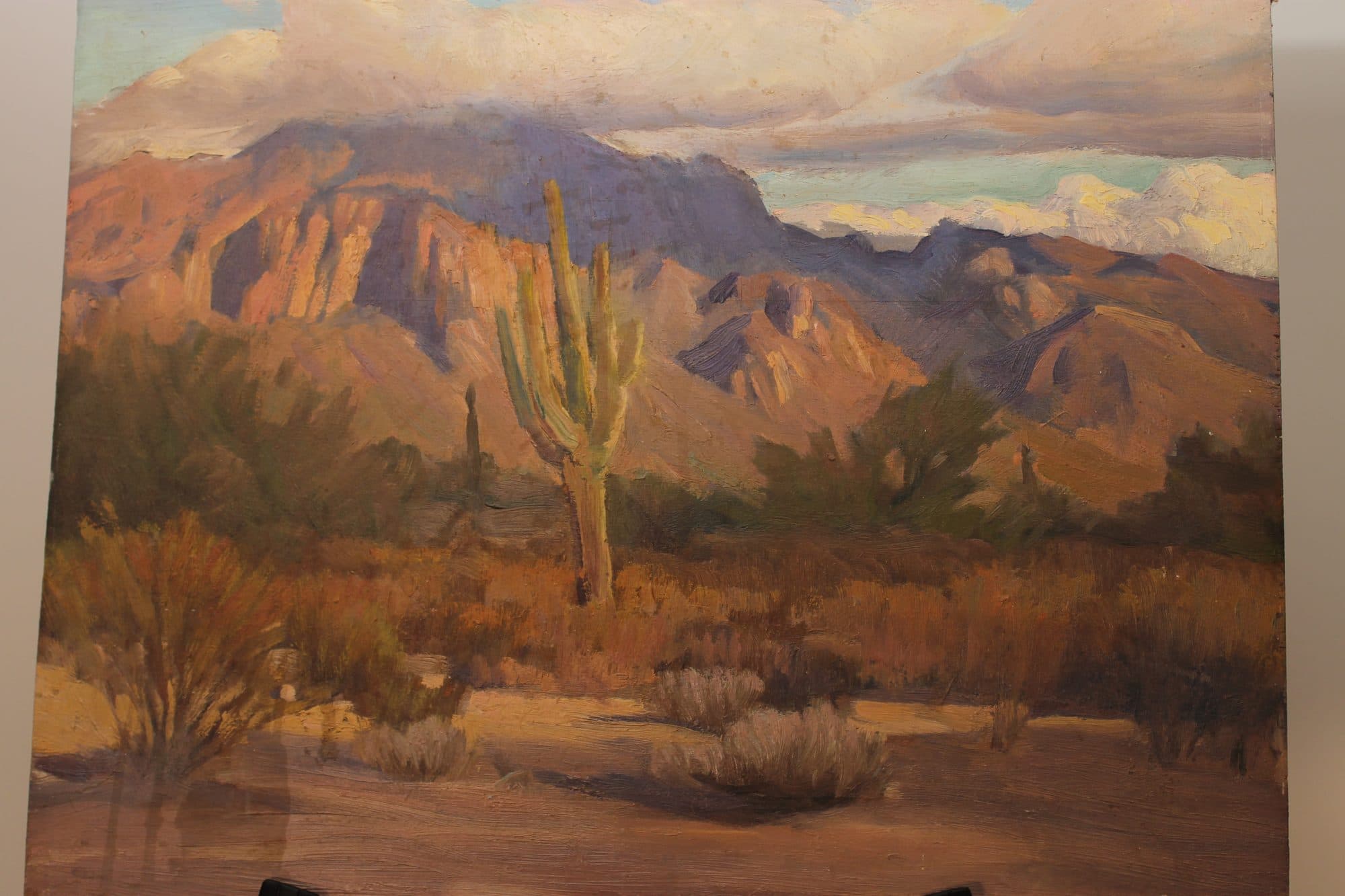 Saguaro Cactus In The Desert — detail