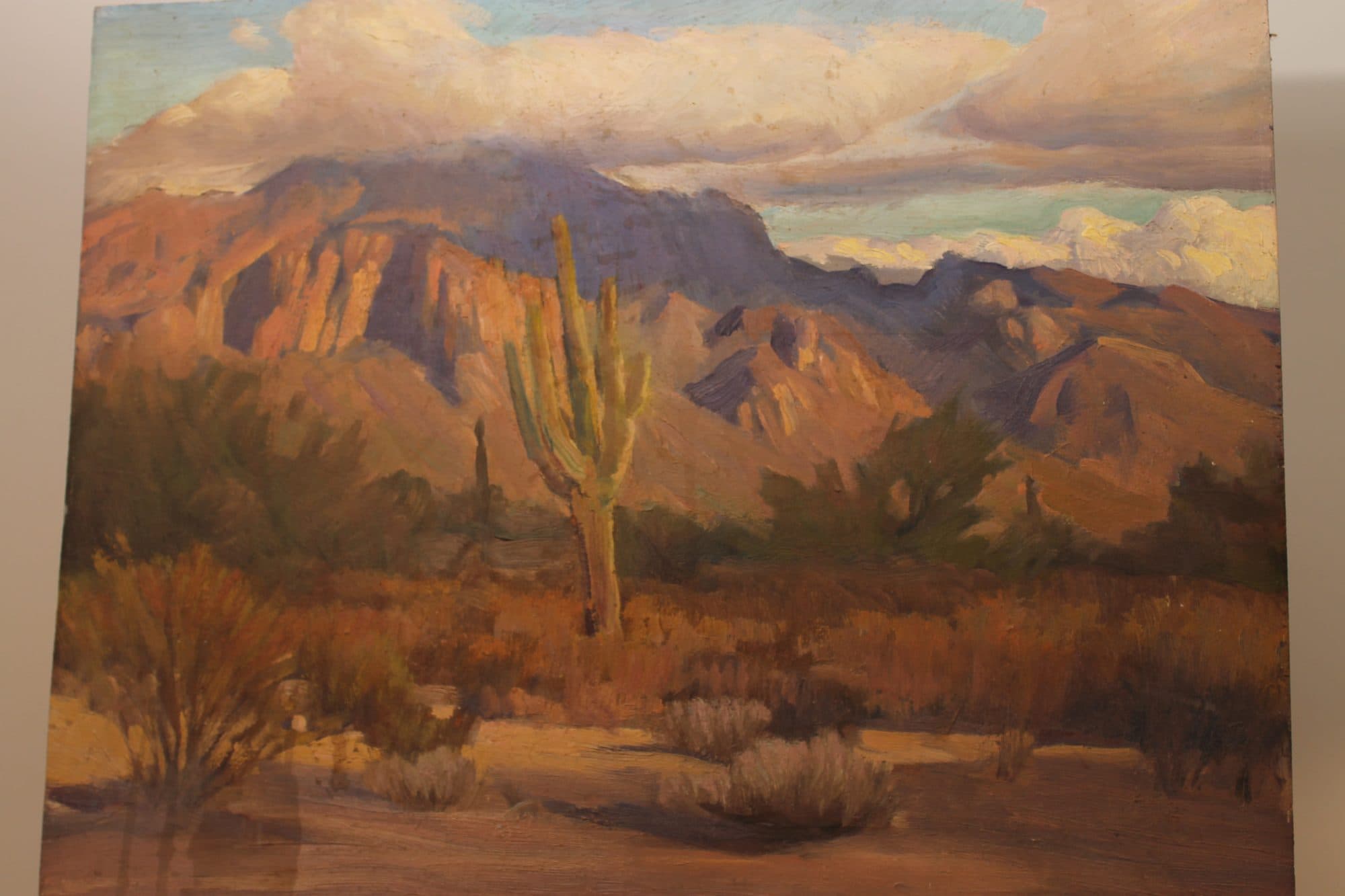 Saguaro Cactus In The Desert — detail