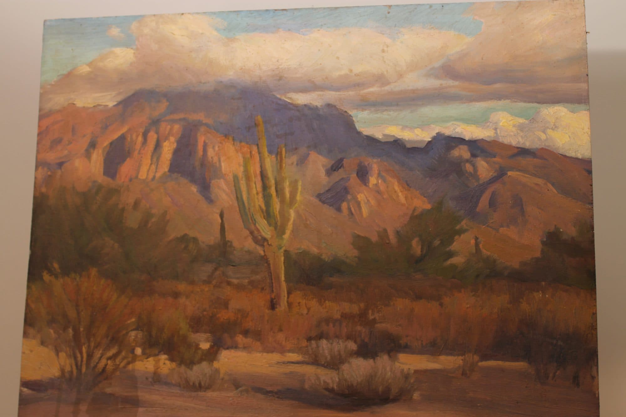 Saguaro Cactus In The Desert — detail