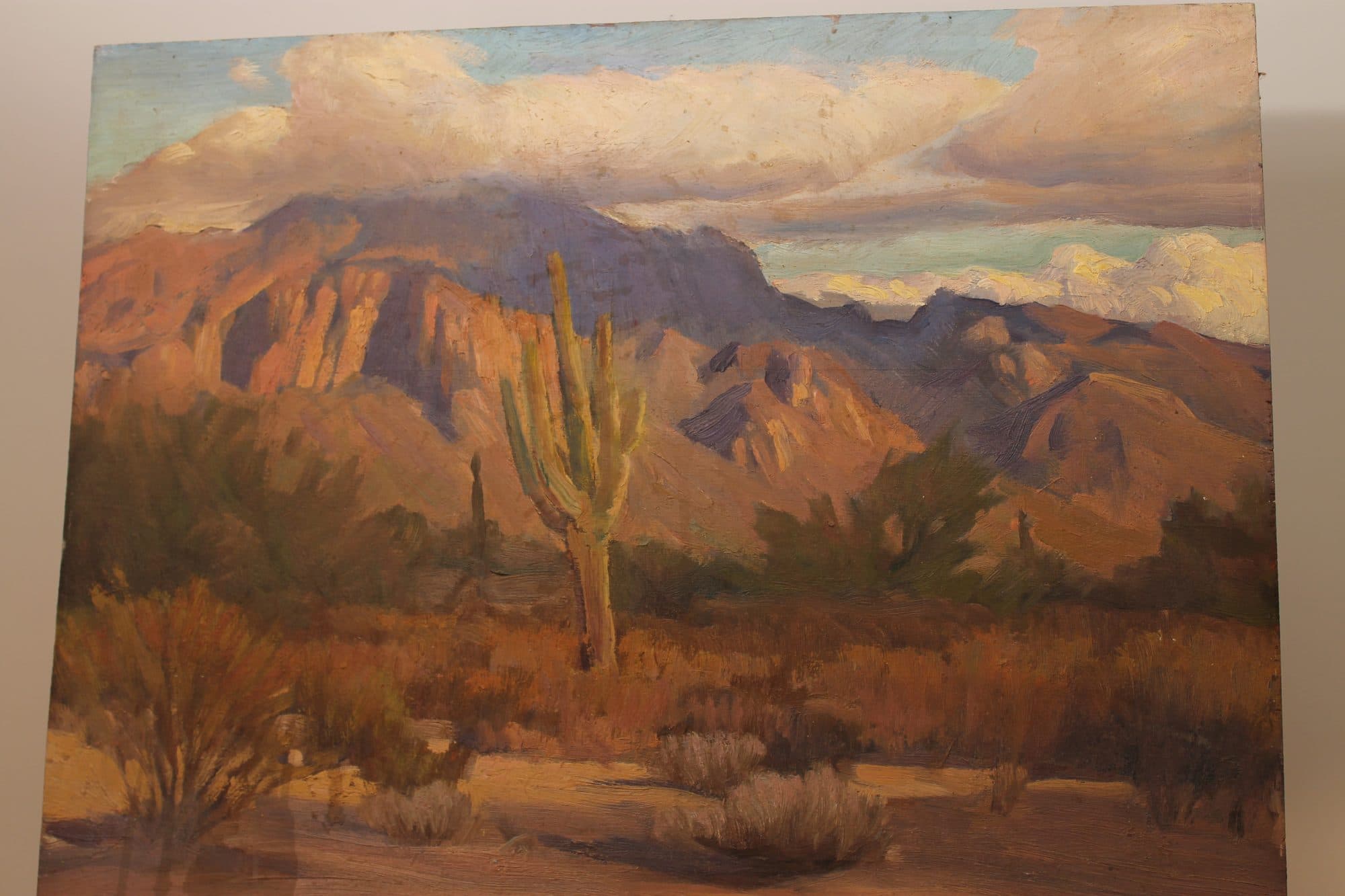 Saguaro Cactus In The Desert — detail