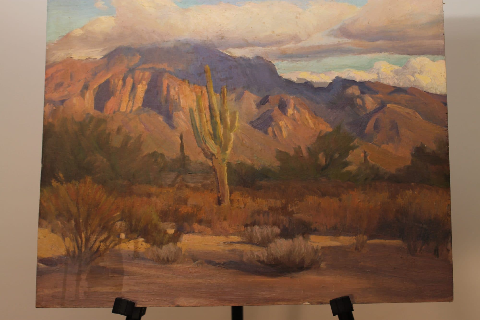 Saguaro Cactus In The Desert — detail