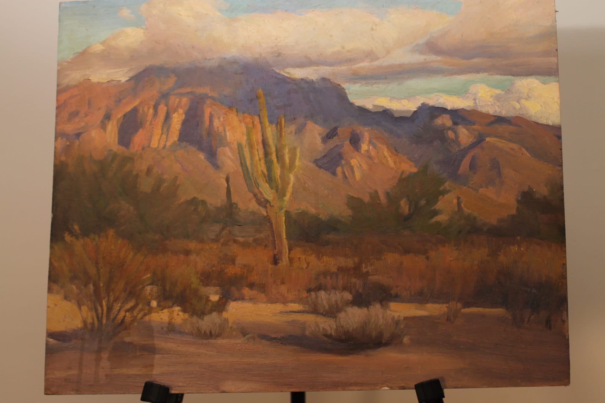 Saguaro Cactus In The Desert — detail