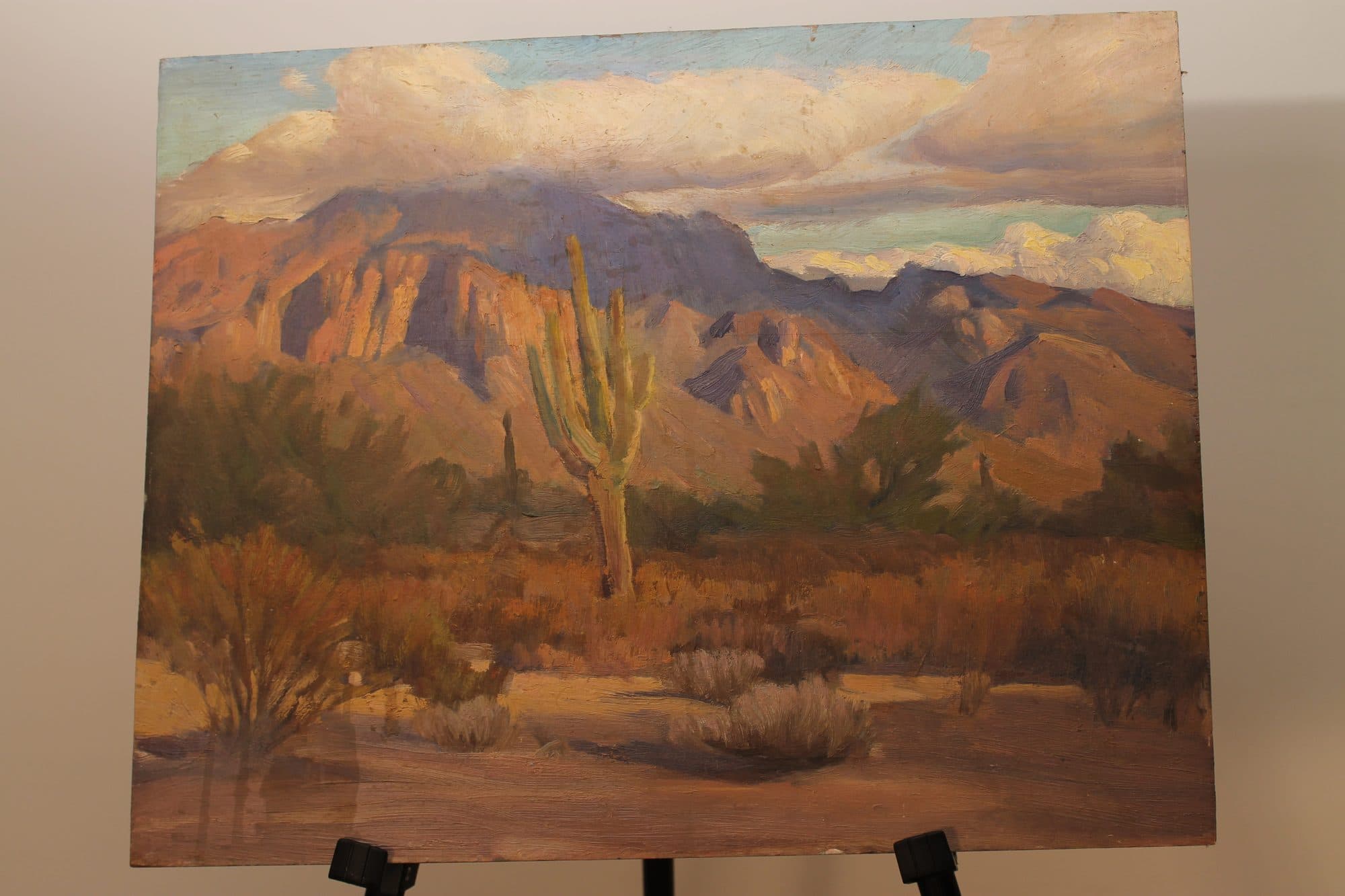Saguaro Cactus In The Desert — detail