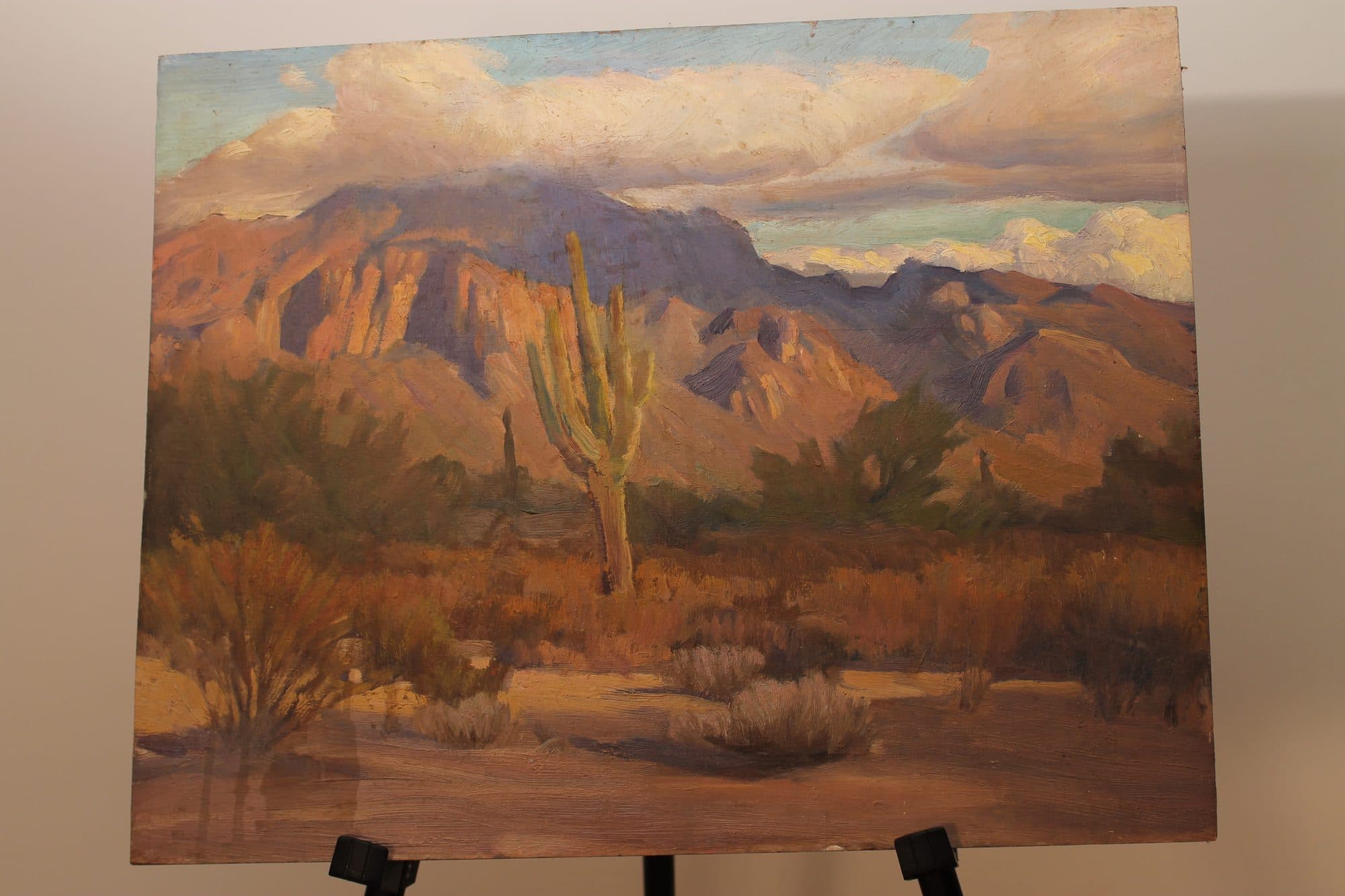 Saguaro Cactus In The Desert — detail