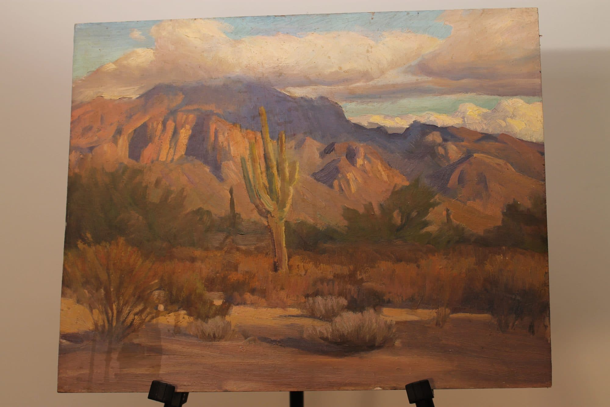 Saguaro Cactus In The Desert — detail