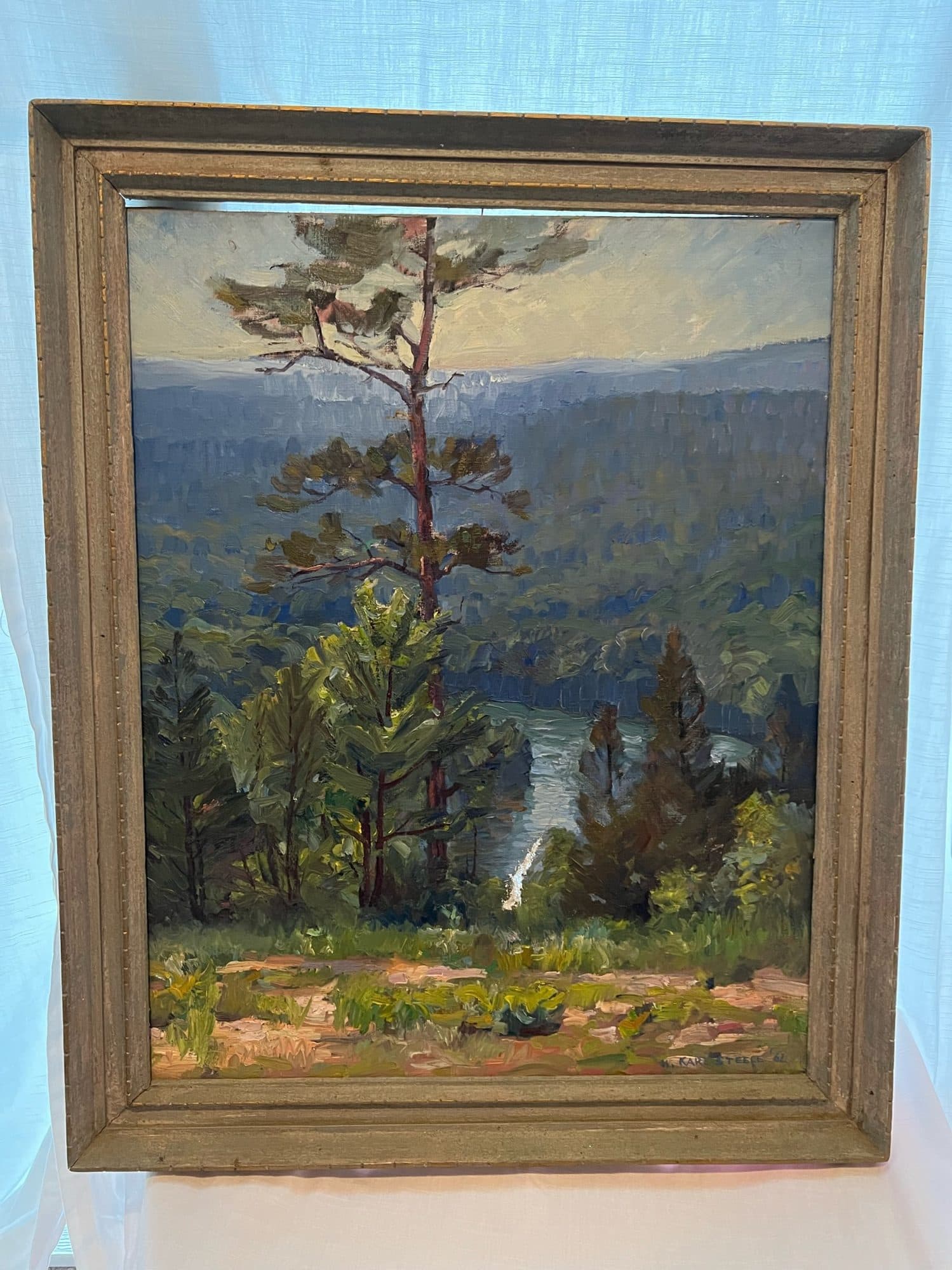 Pine Overlooking The Lake