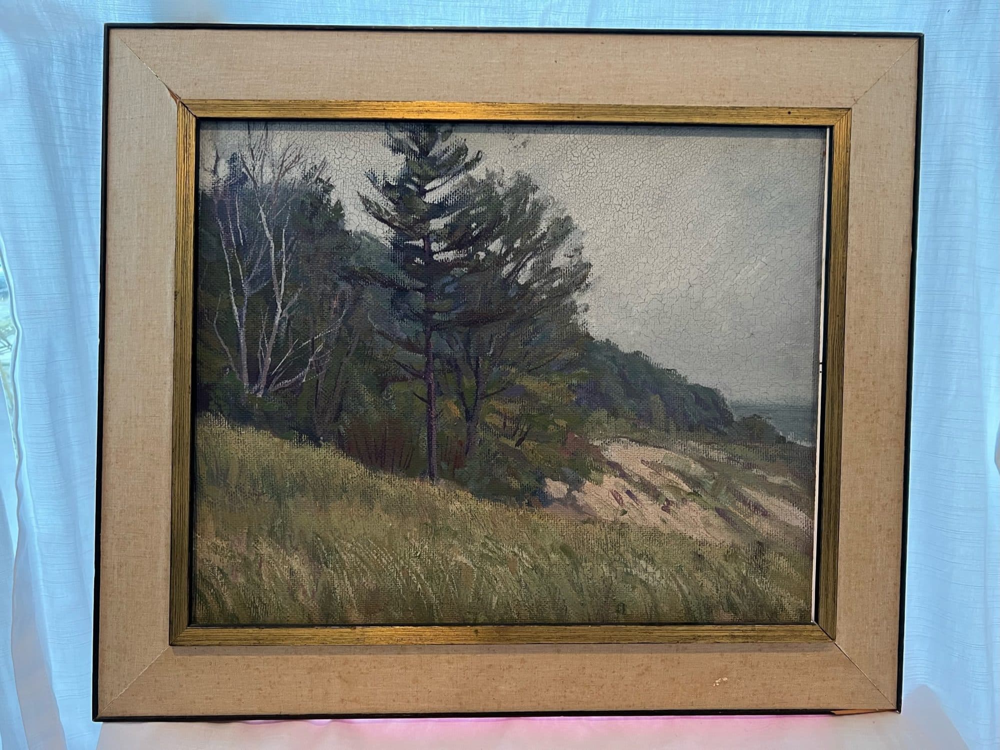 Pines On A Dune