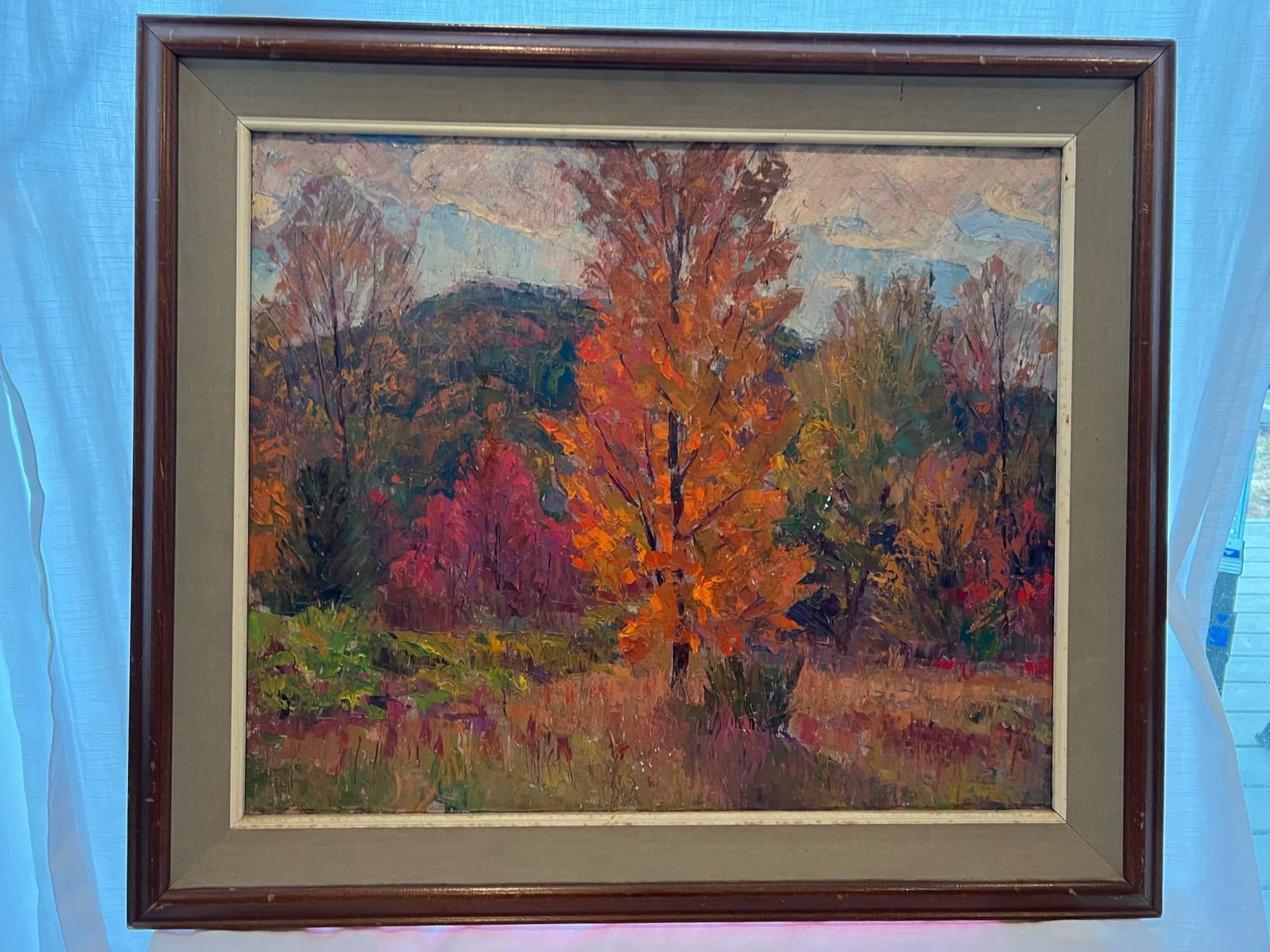 Autumn Trees In Red And Gold