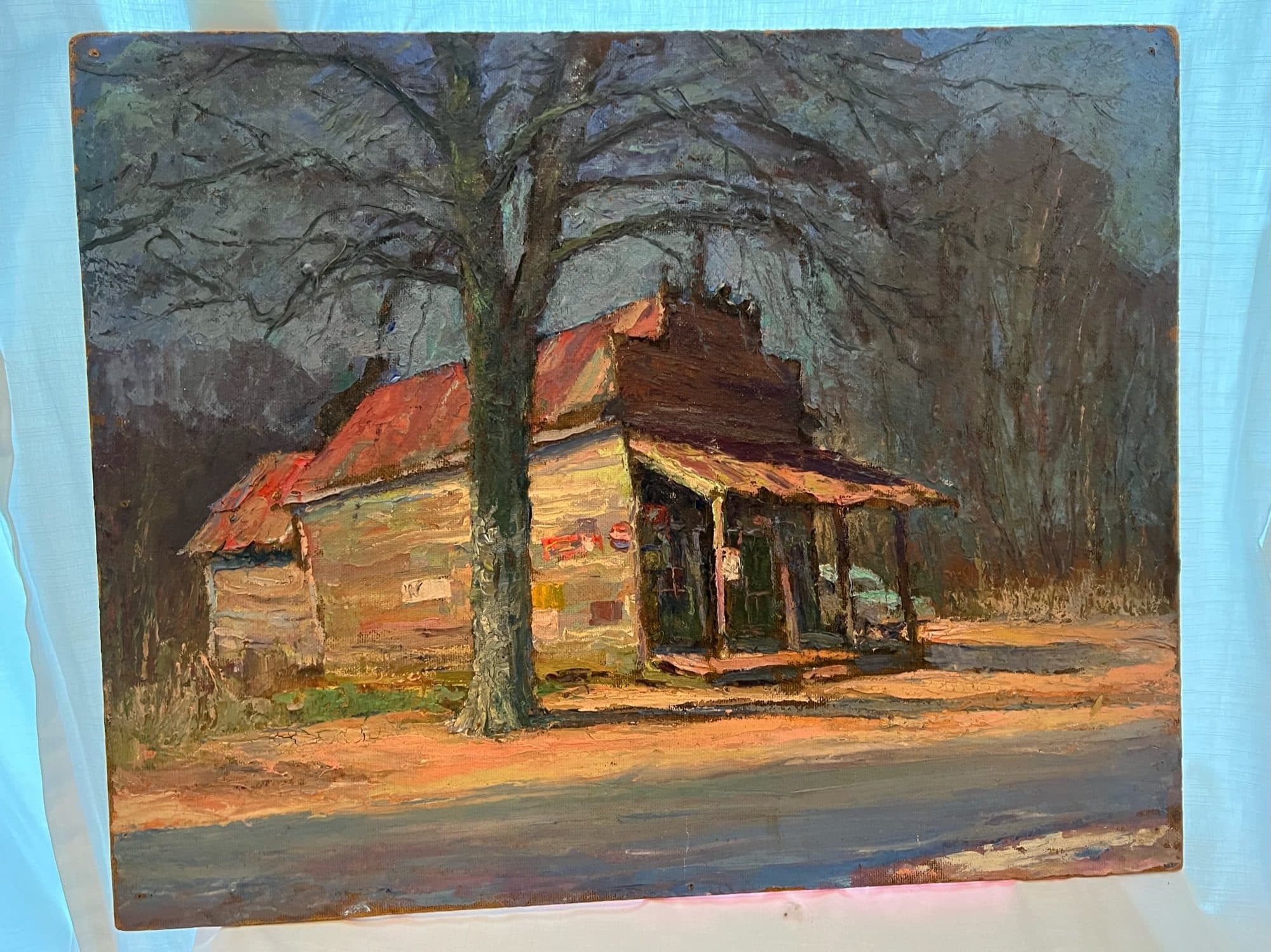 Old Homestead Cabin Under Bare Tree