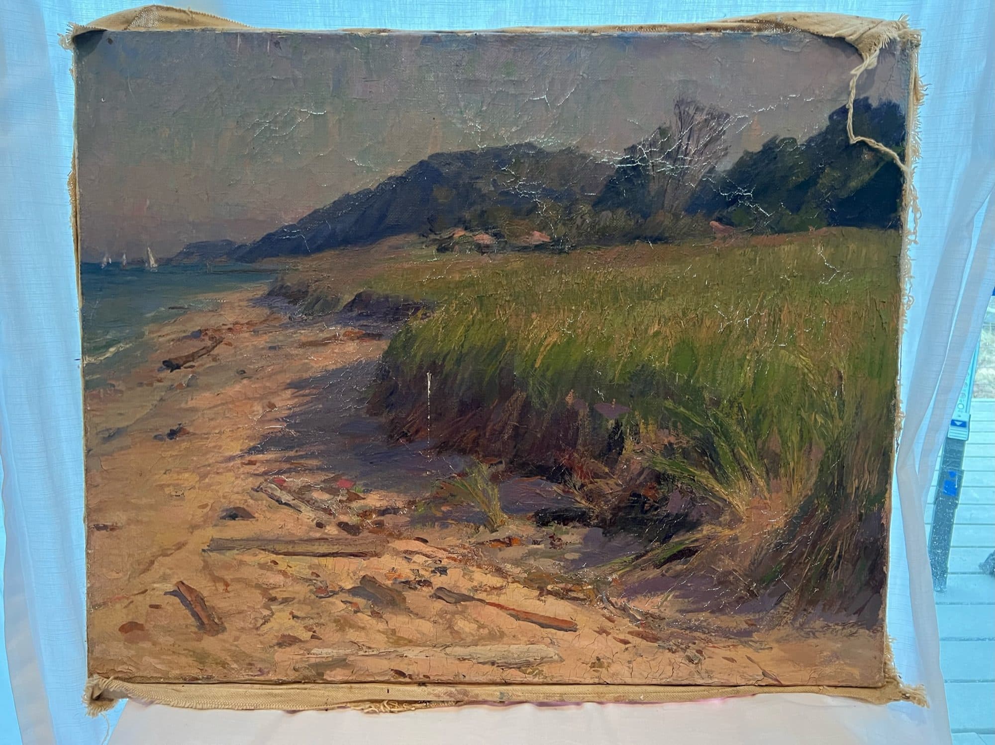 Sand Dune Along The Shore