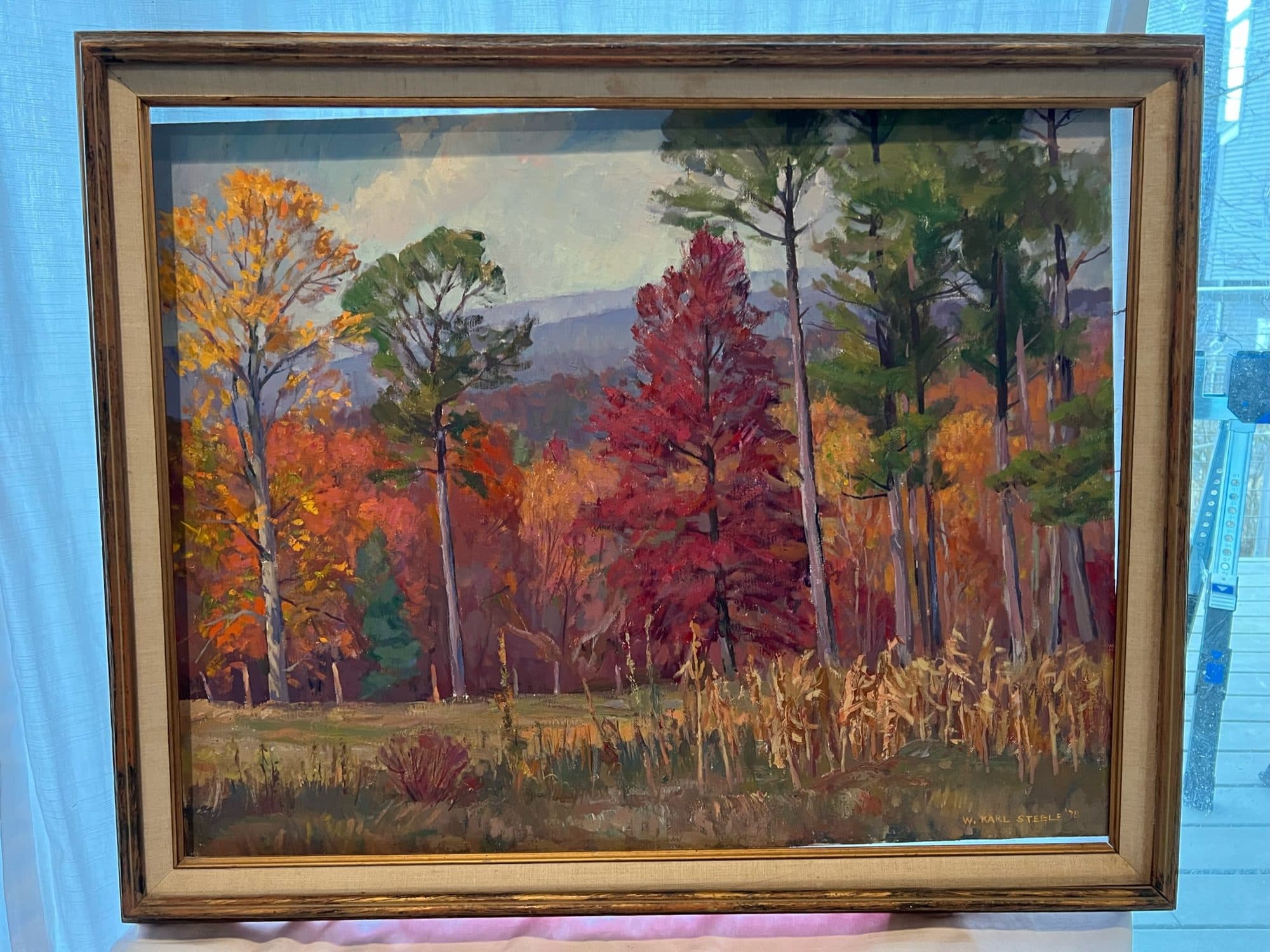 Autumn Forest With Red Maple