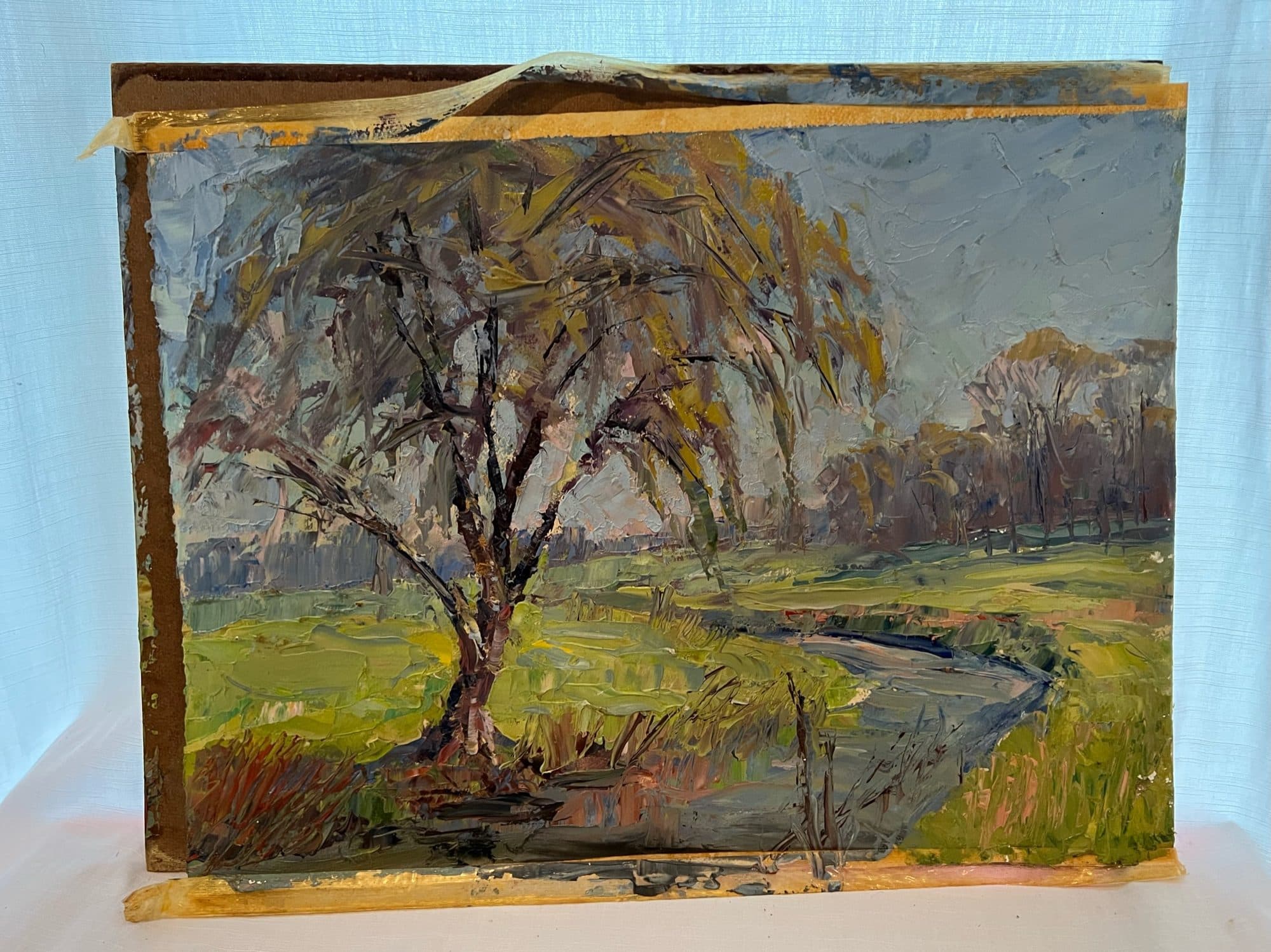 Willow Tree Over Stream