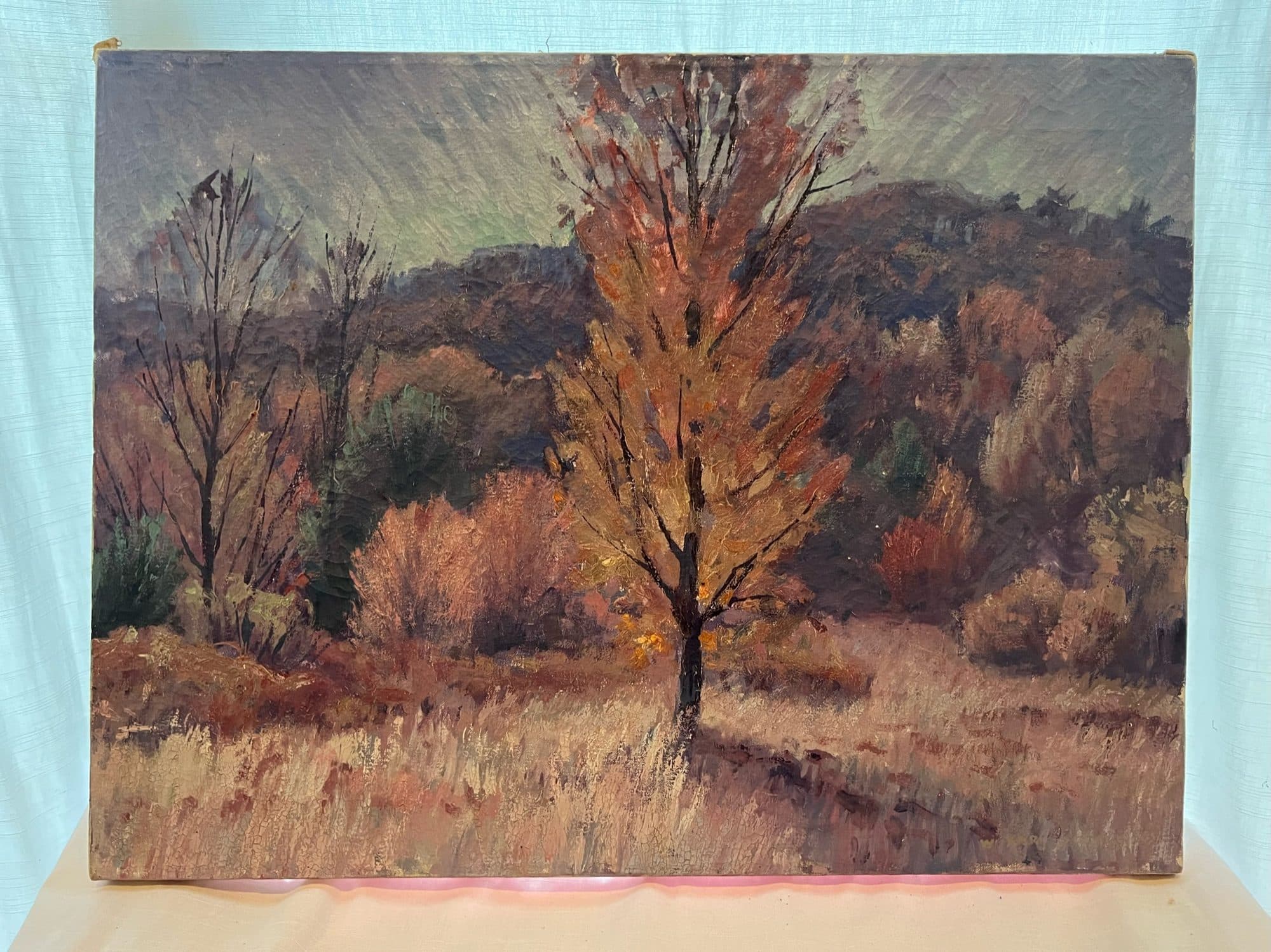 Golden Tree Against Hillside