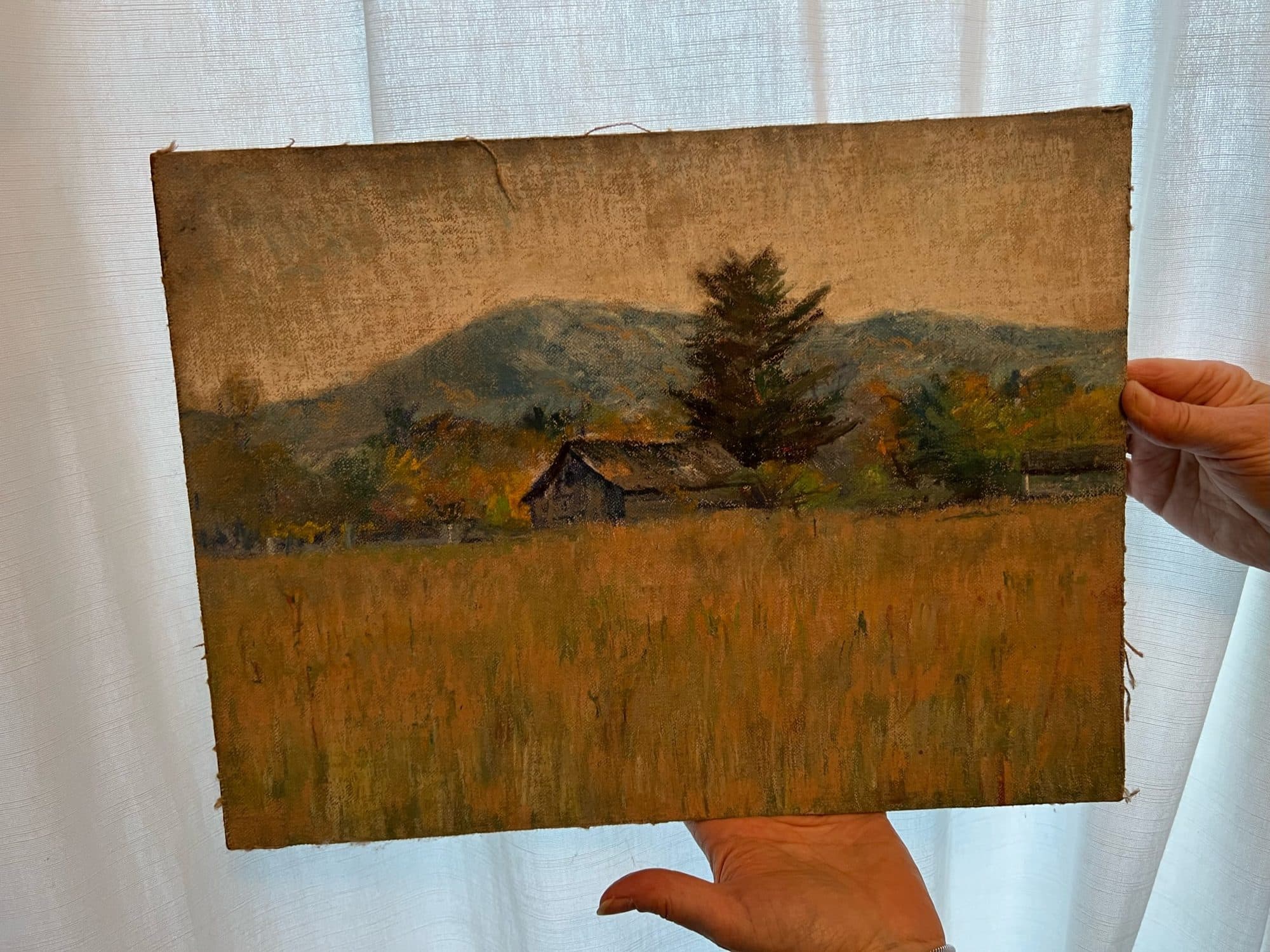 Cottage In Golden Field Below Mountain