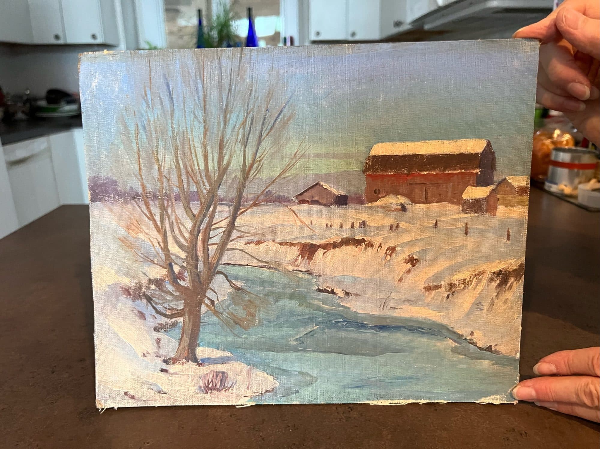 Bare Tree By Frozen Creek