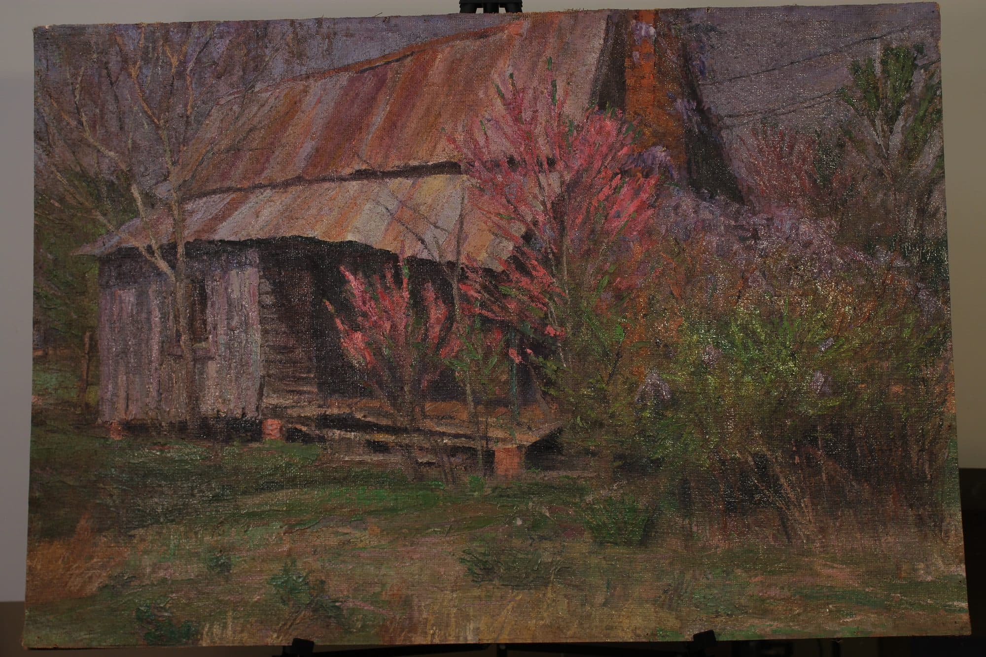 Log Cabin Amid Blooming Redbuds