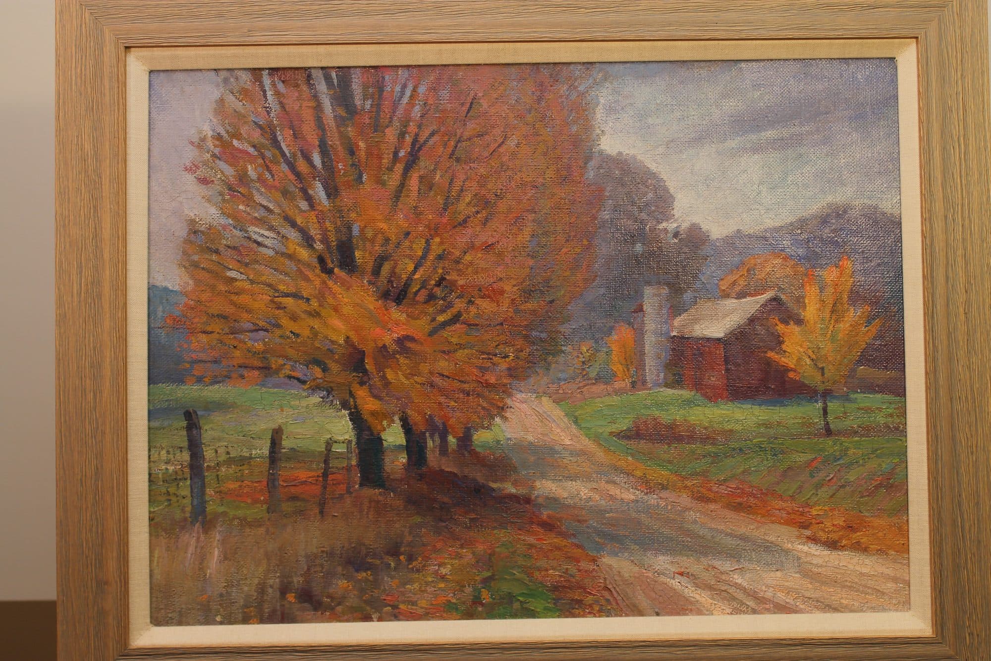 Autumn Tree Along Country Road
